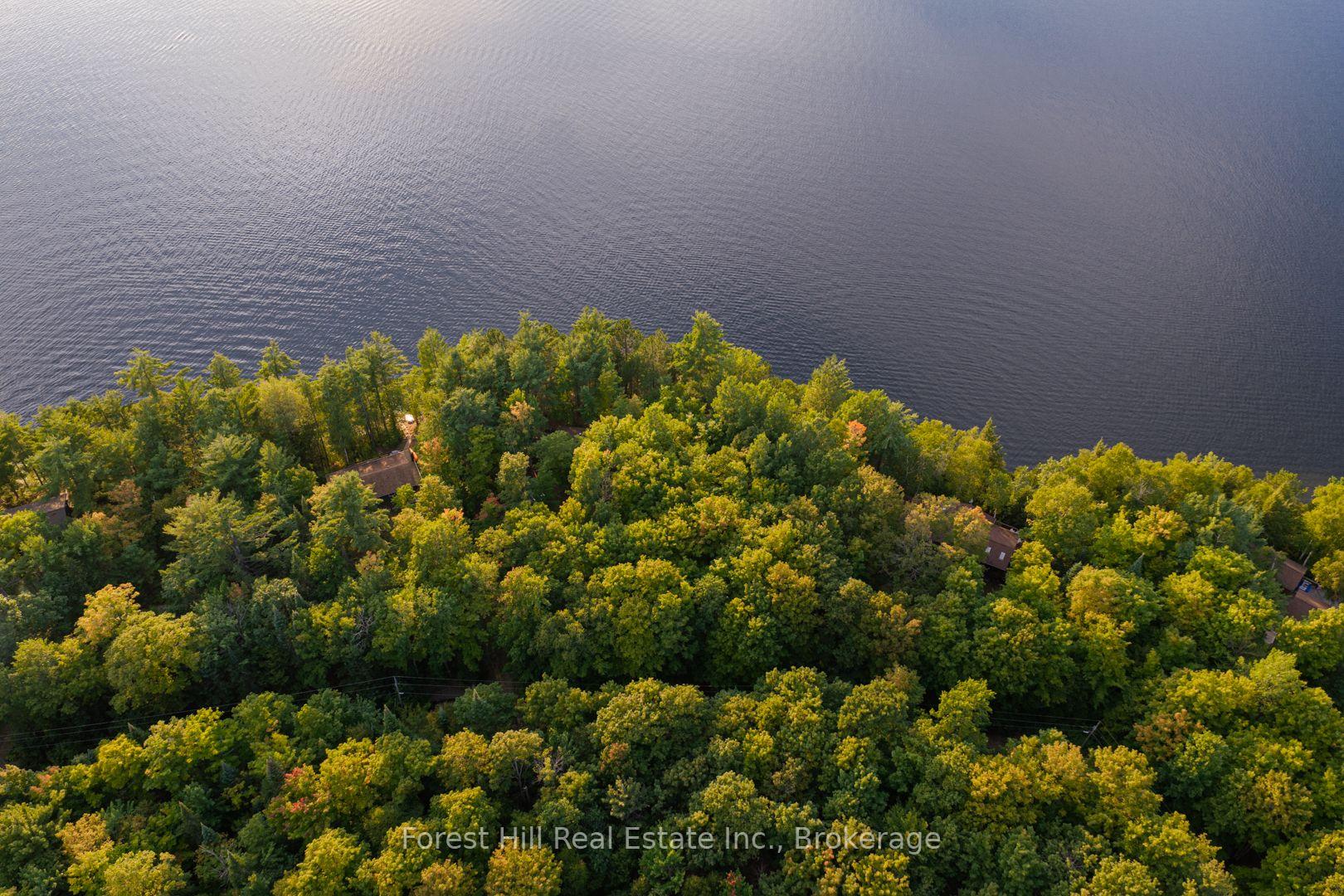 Photo 16 of 1155 Wolf Circle, Algonquin Highlands, Sherborne — HOMEH
