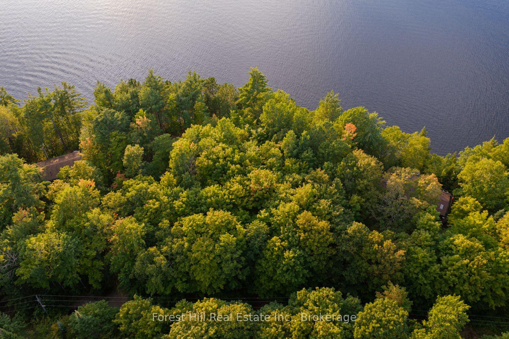 Photo 17 of 1155 Wolf Circle, Algonquin Highlands, Sherborne — HOMEH