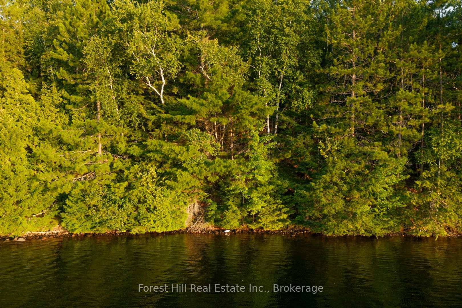 Photo 23 of 1155 Wolf Circle, Algonquin Highlands, Sherborne — HOMEH