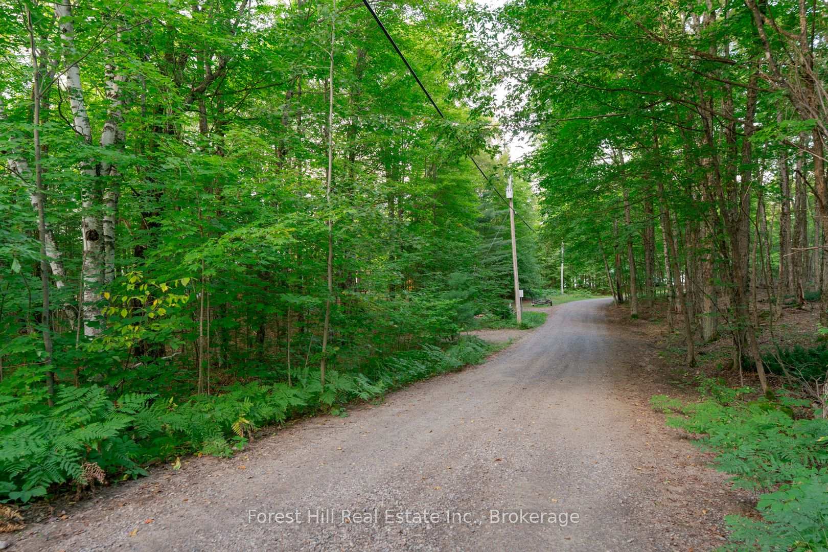 Photo 39 of 1155 Wolf Circle, Algonquin Highlands, Sherborne — HOMEH