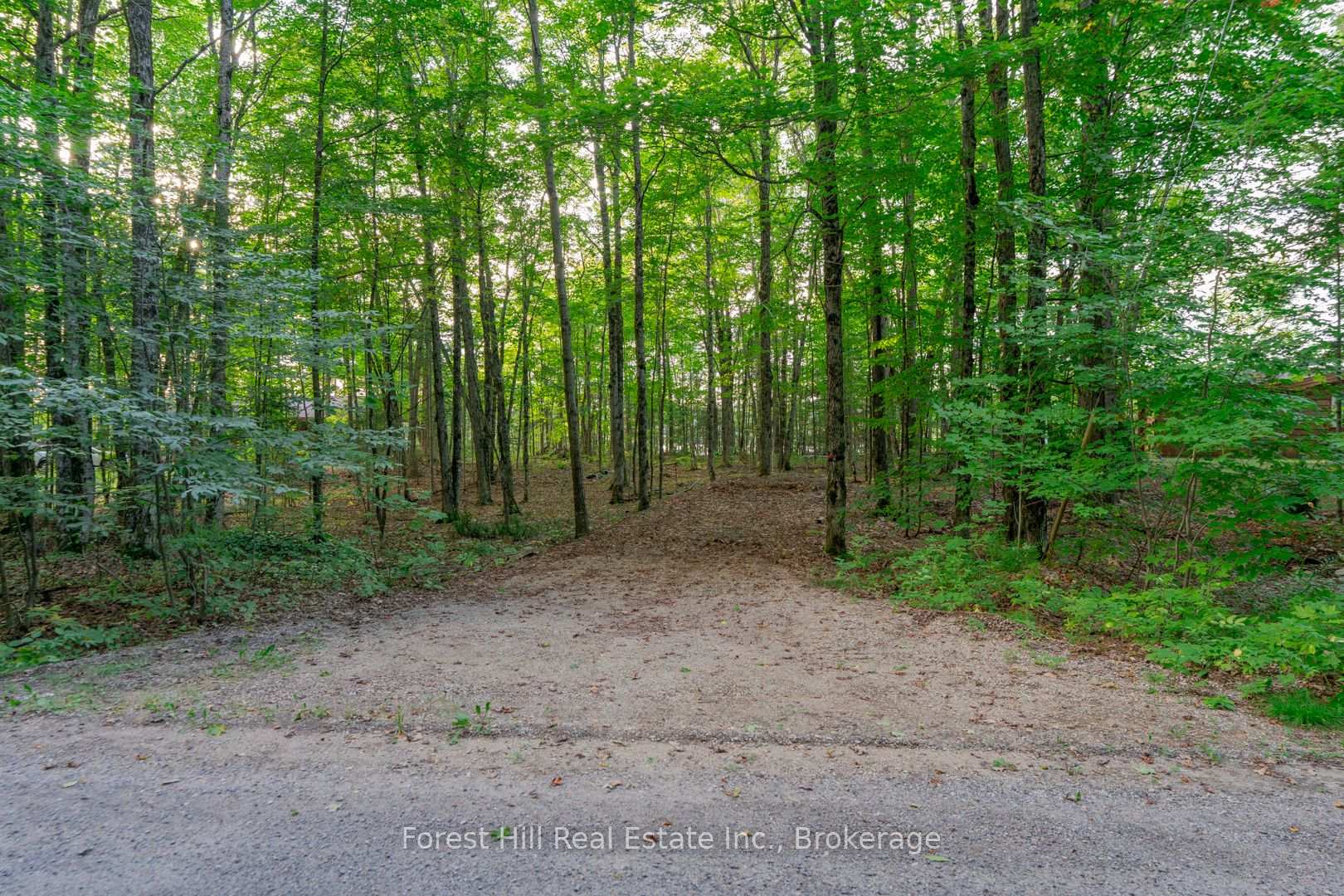 Photo 40 of 1155 Wolf Circle, Algonquin Highlands, Sherborne — HOMEH