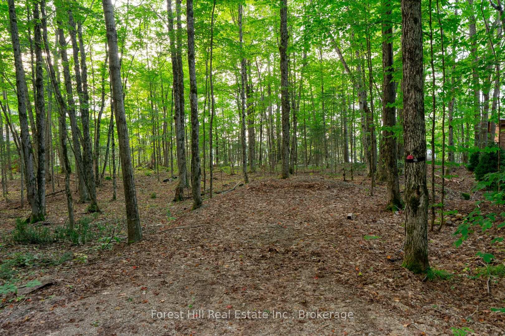 Photo 41 of 1155 Wolf Circle, Algonquin Highlands, Sherborne — HOMEH
