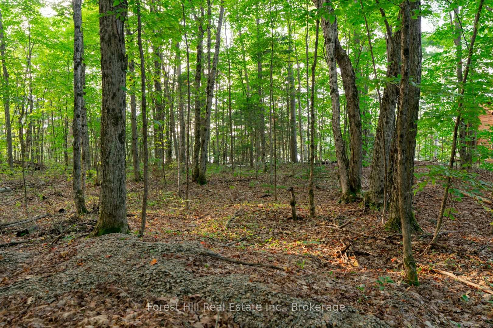 Photo 42 of 1155 Wolf Circle, Algonquin Highlands, Sherborne — HOMEH