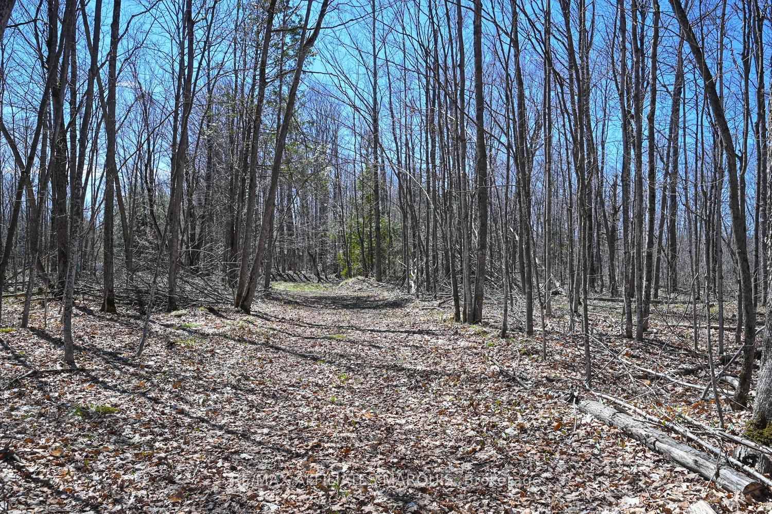 Photo 41 of 375 Ferguson Tetlock Road, Montague, Montague Twp — HOMEH