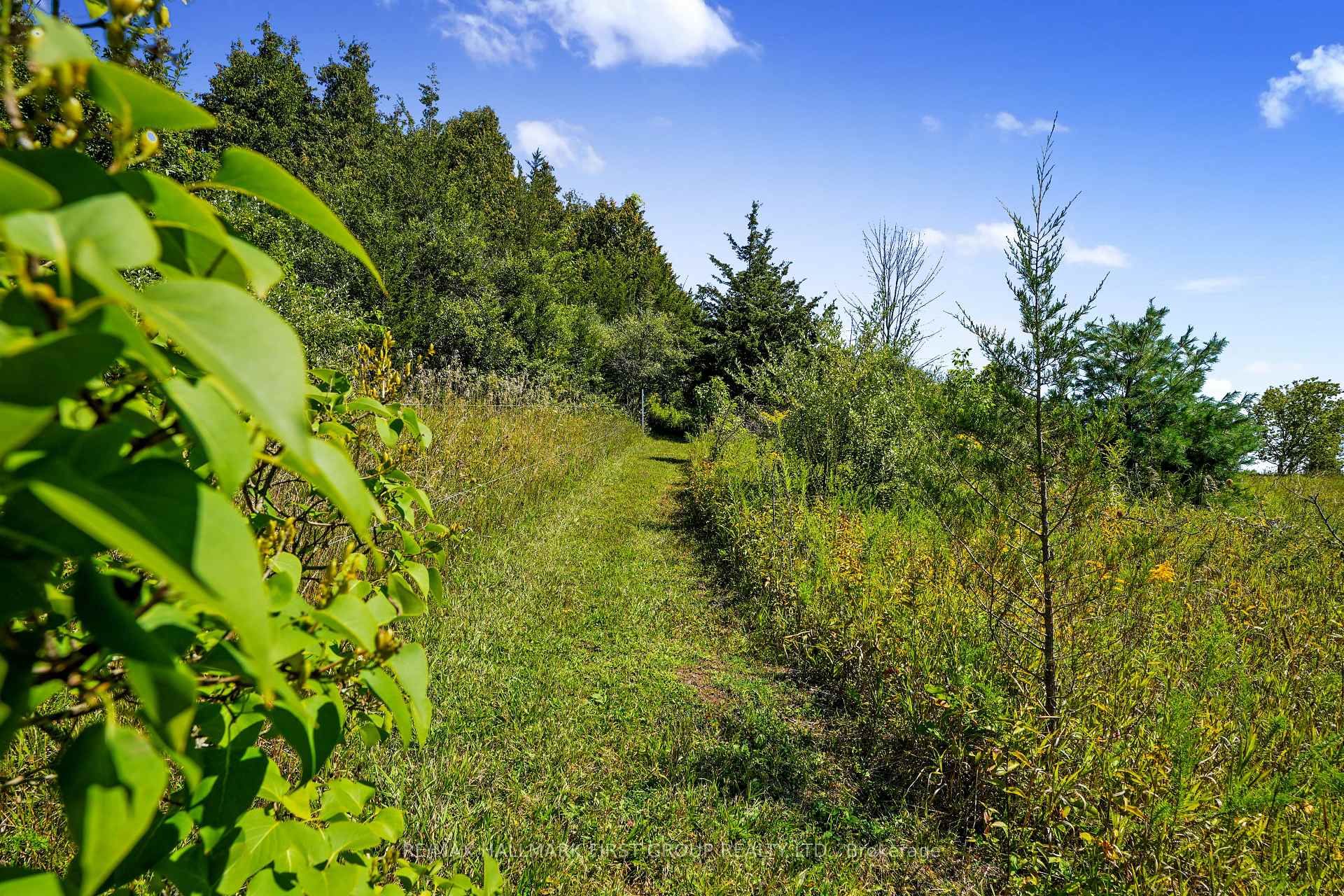 Photo 46 of 3311 Burnham Street N, Hamilton Township, Rural Hamilton — HOMEH