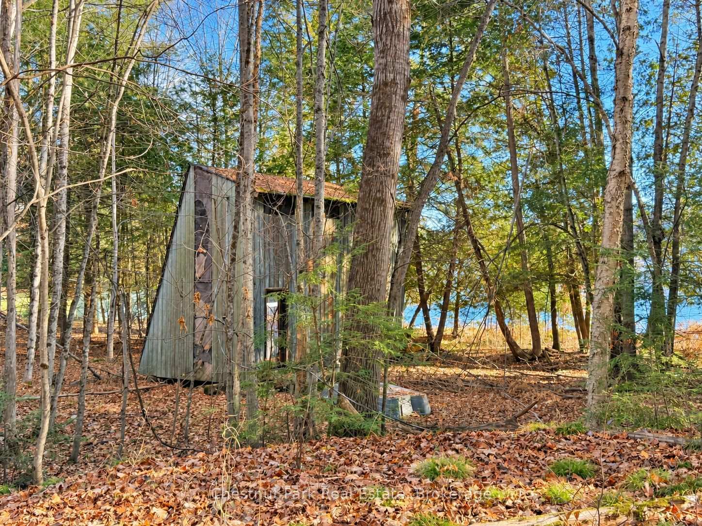 Photo 3 of 26 Blair Point Road, Seguin — HOMEH