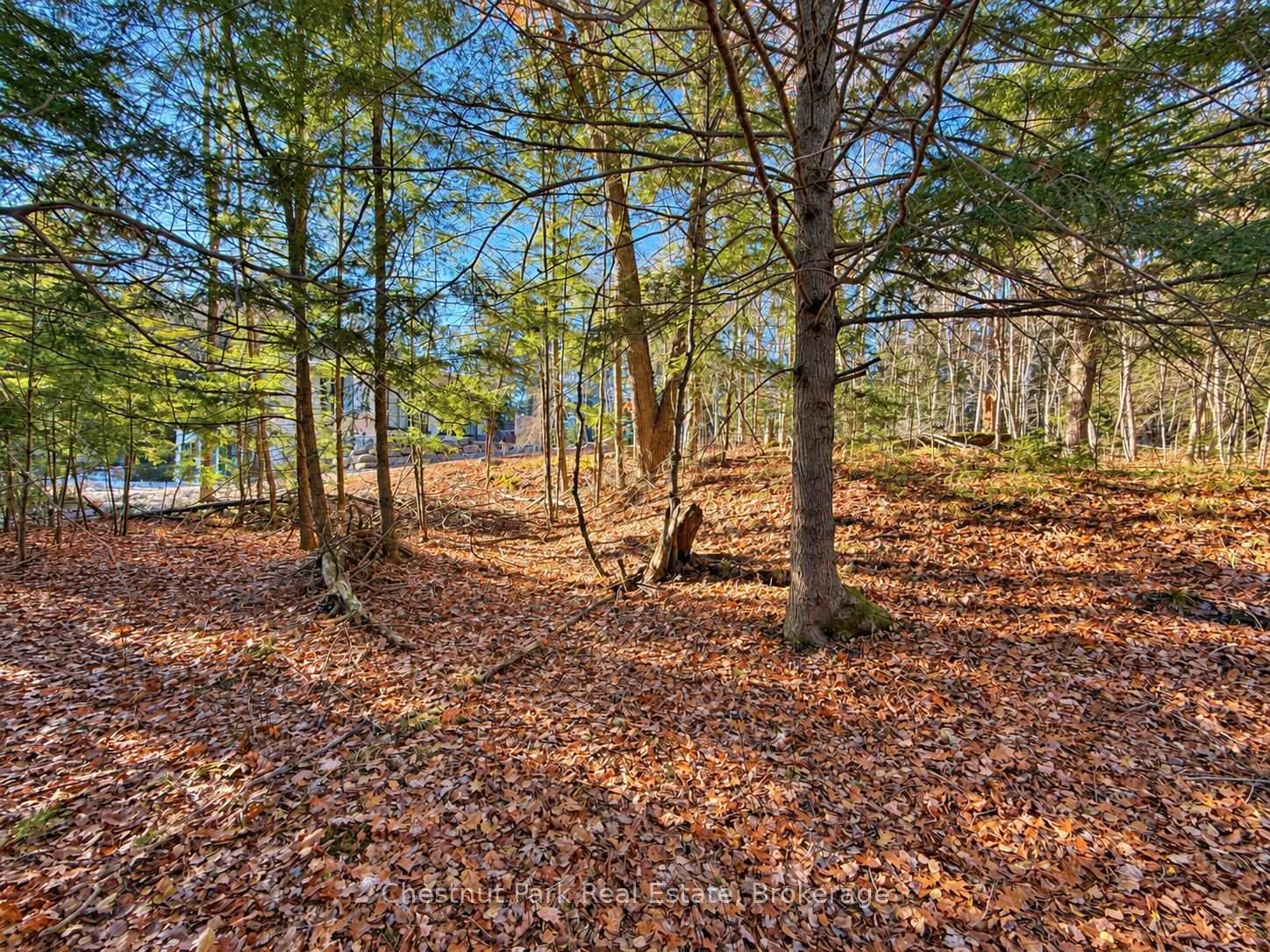 Photo 4 of 26 Blair Point Road, Seguin — HOMEH