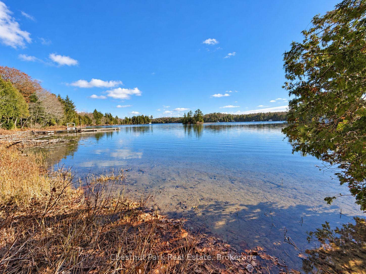 Photo 5 of 26 Blair Point Road, Seguin — HOMEH