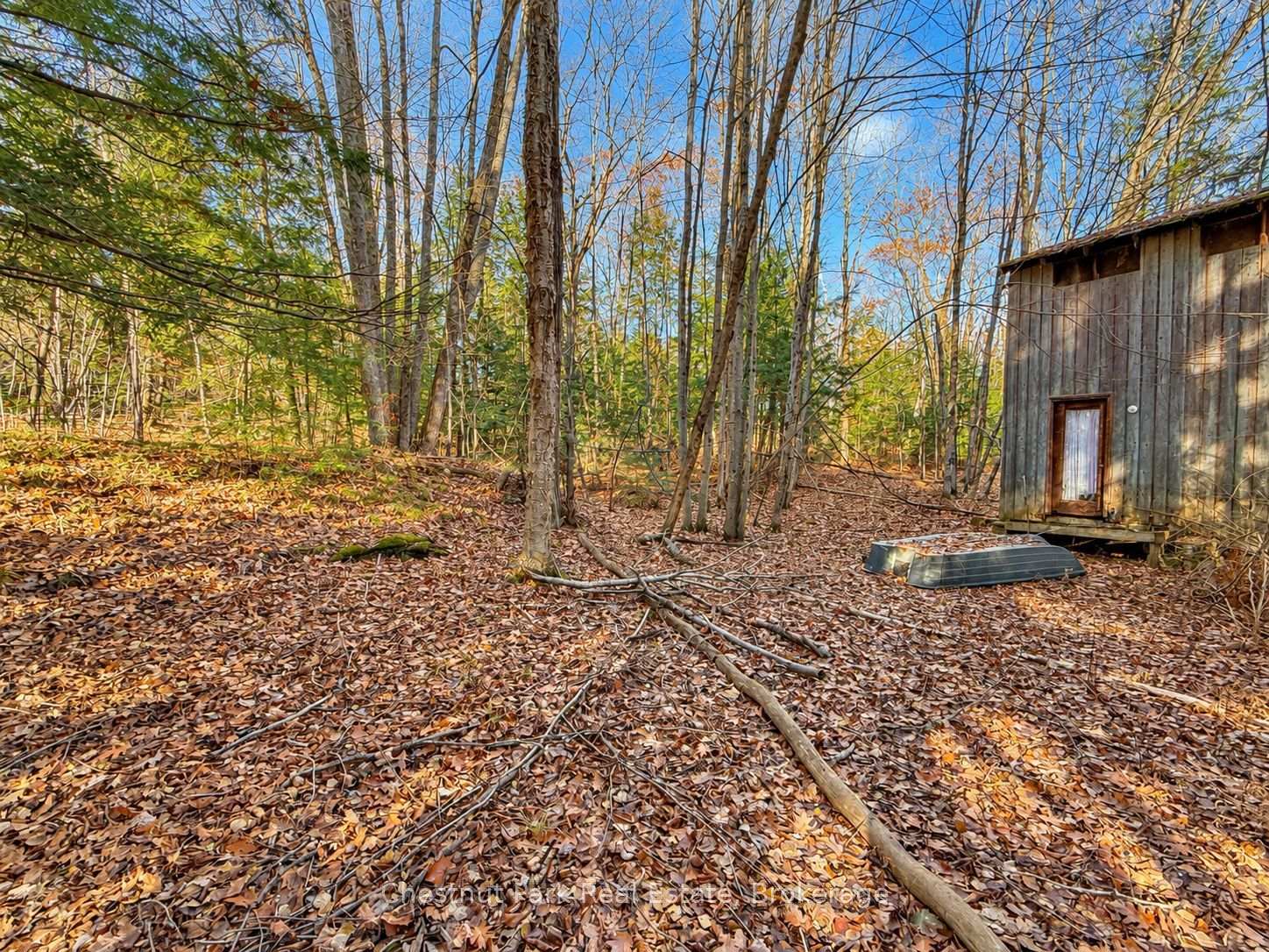 Photo 6 of 26 Blair Point Road, Seguin — HOMEH