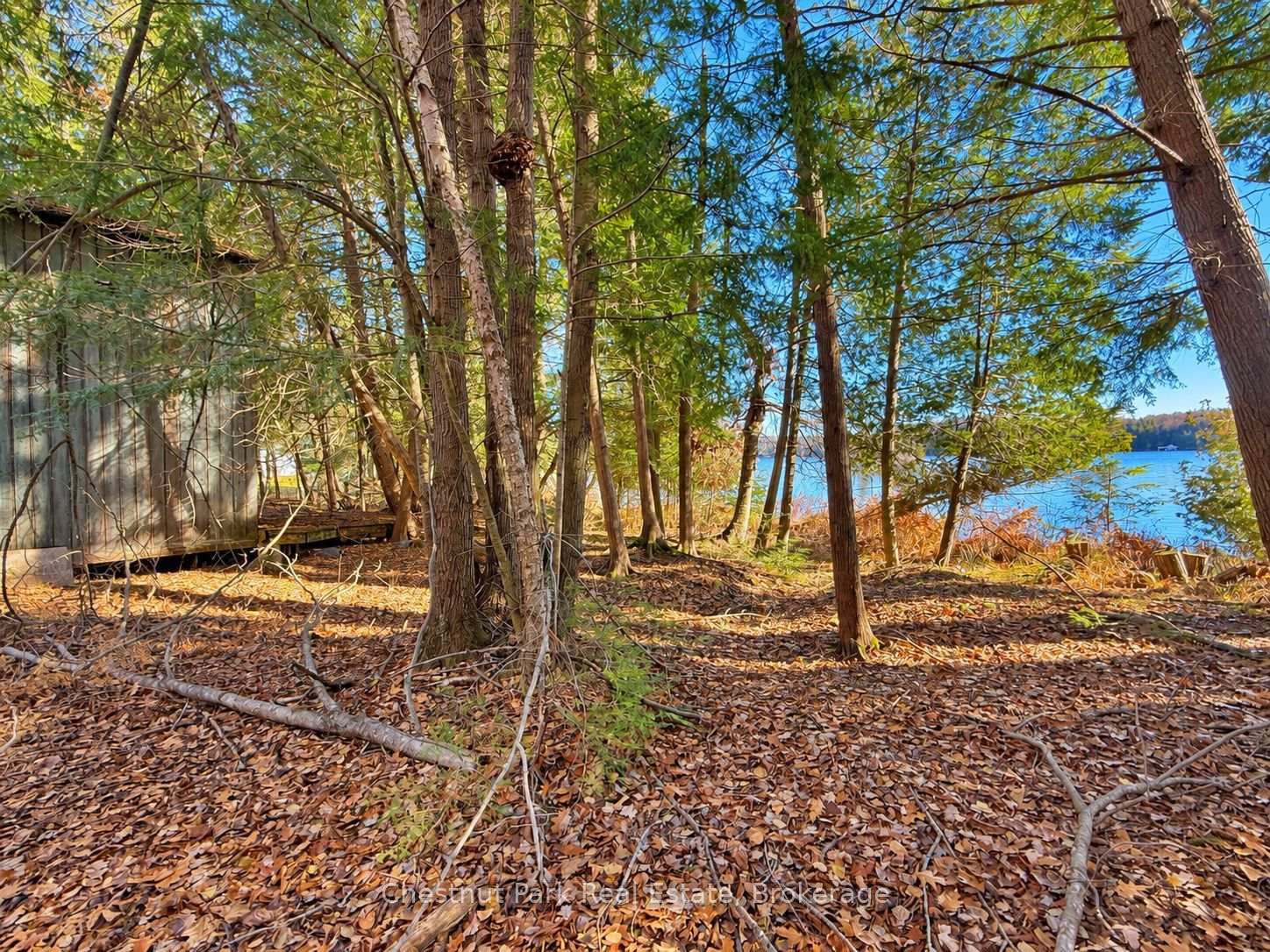 Photo 8 of 26 Blair Point Road, Seguin — HOMEH