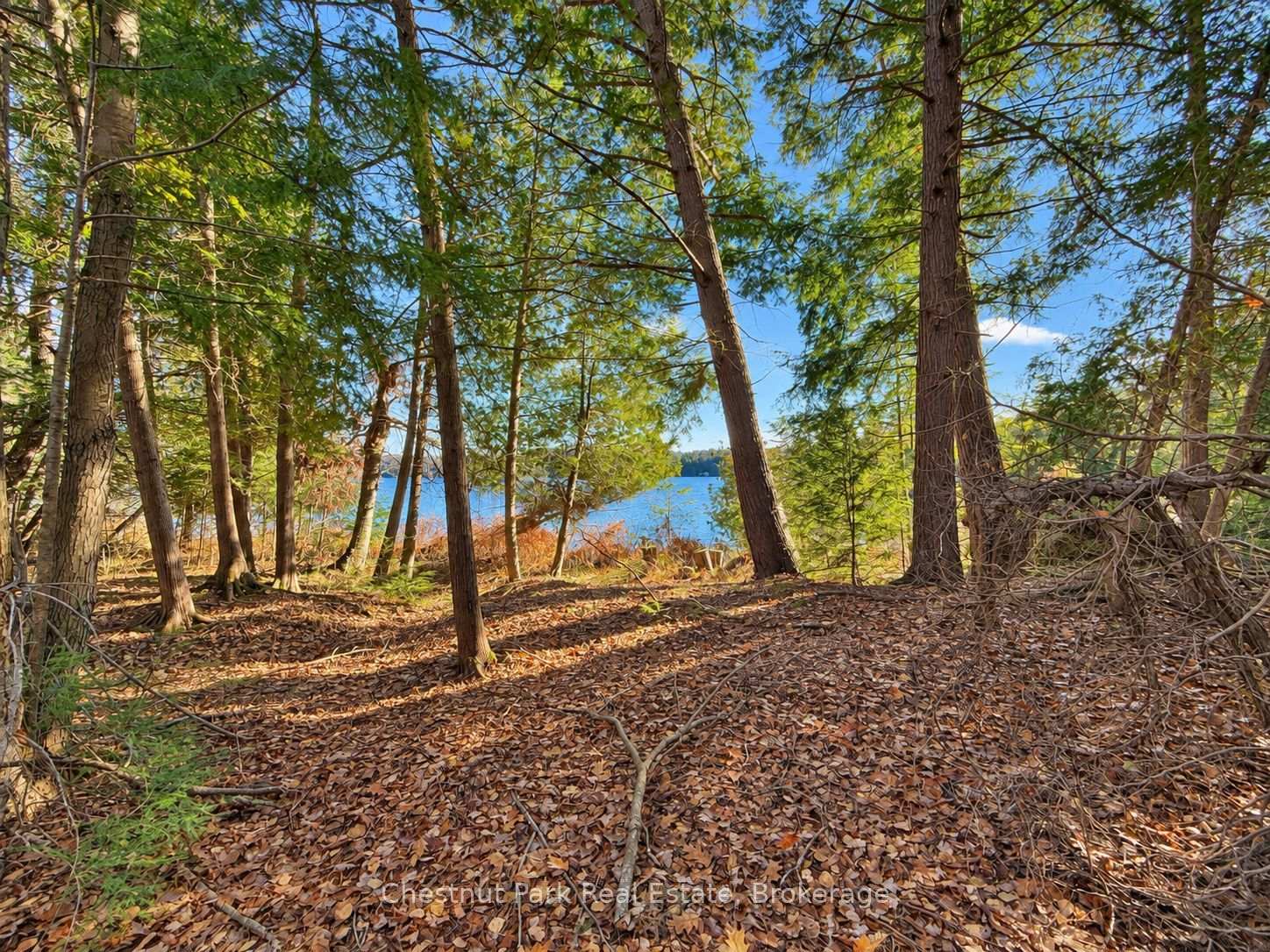 Photo 9 of 26 Blair Point Road, Seguin — HOMEH