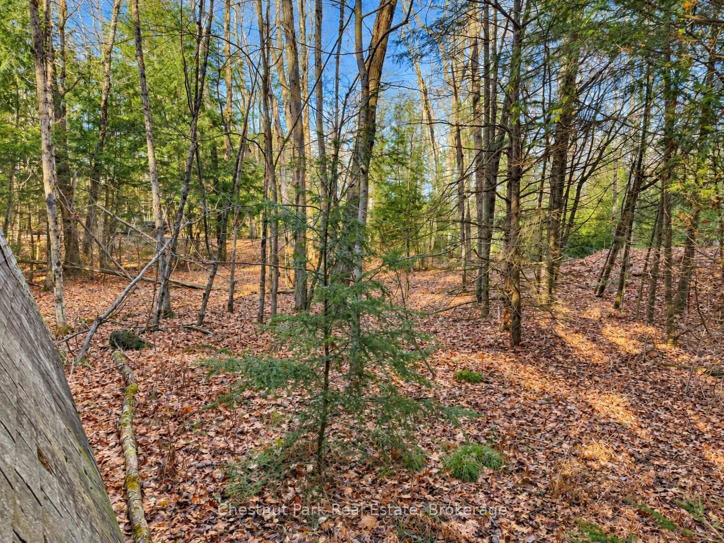 Photo 10 of 26 Blair Point Road, Seguin — HOMEH