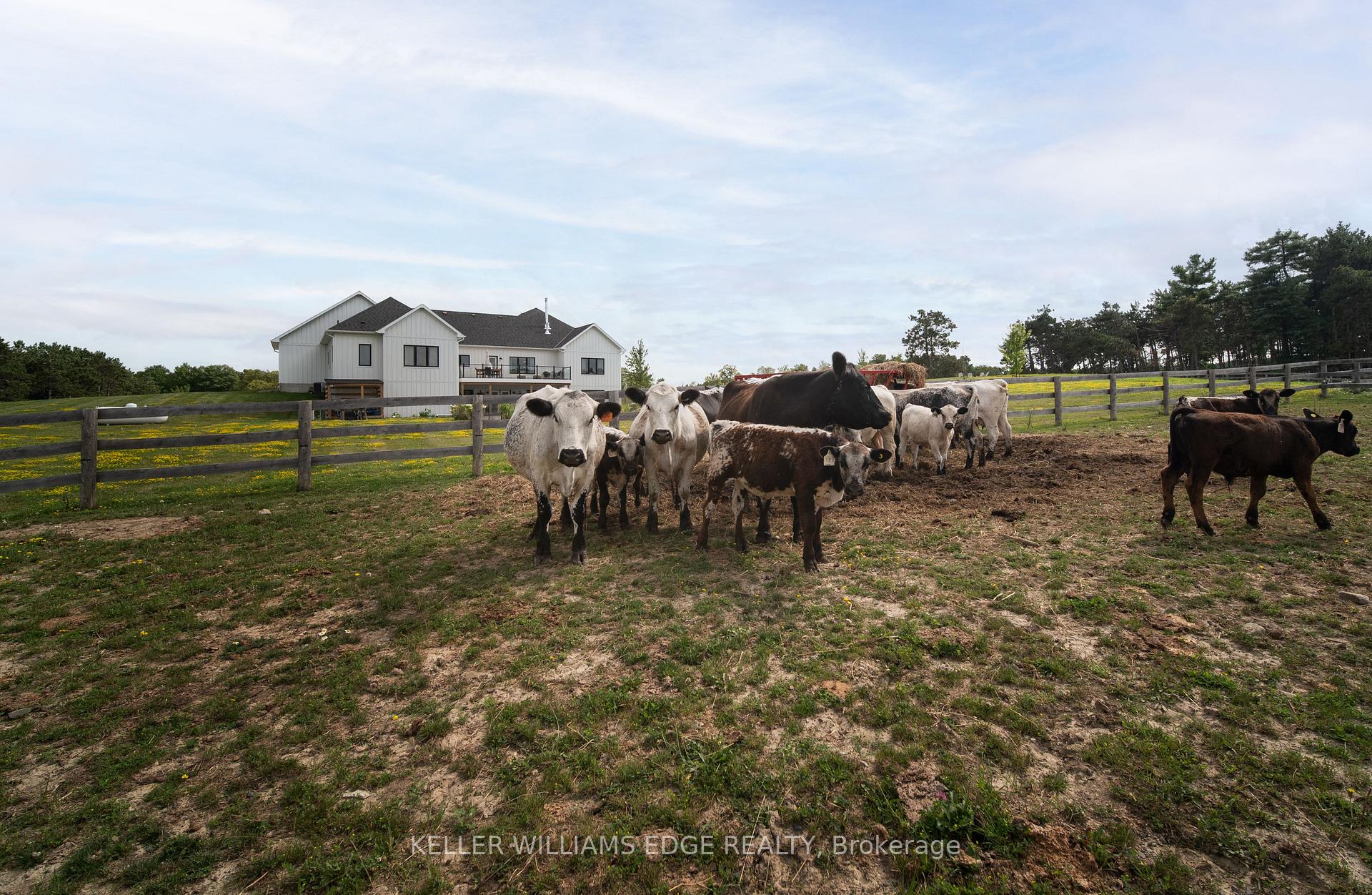 Photo 47 of 568211 9 Side Road, Mulmur, Rural Mulmur — HOMEH