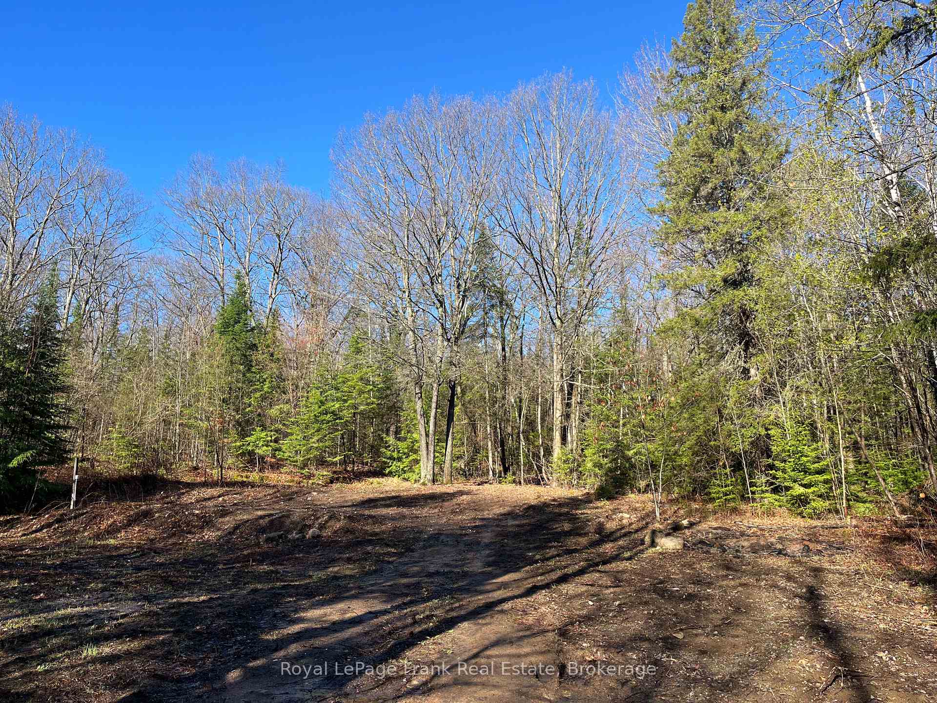 Photo of 120 Norlock Road