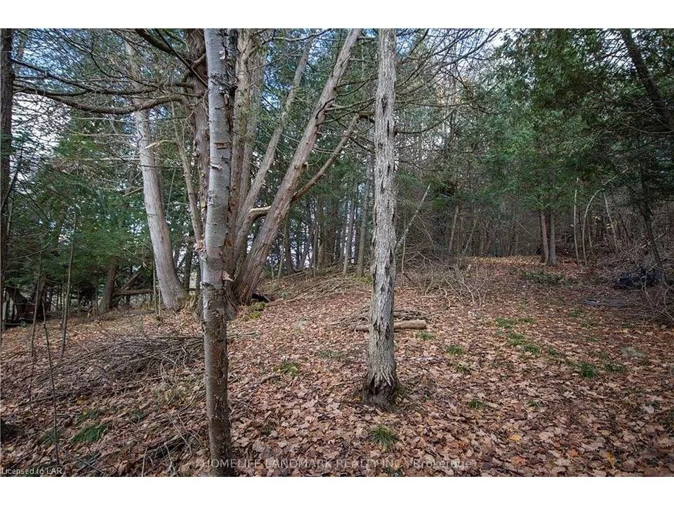 Photo 51 of 12170 Highway 35, Minden Hills, Lutterworth — HOMEH