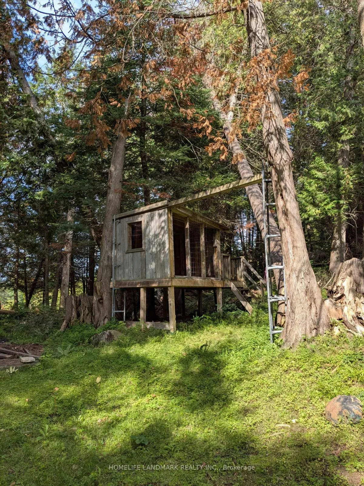 Photo 54 of 12170 Highway 35, Minden Hills, Lutterworth — HOMEH