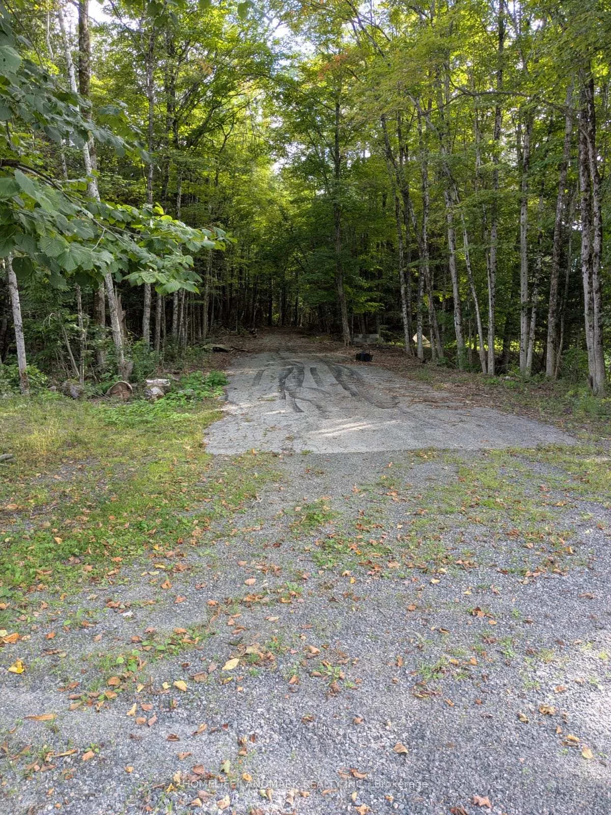 Photo 61 of 12170 Highway 35, Minden Hills, Lutterworth — HOMEH