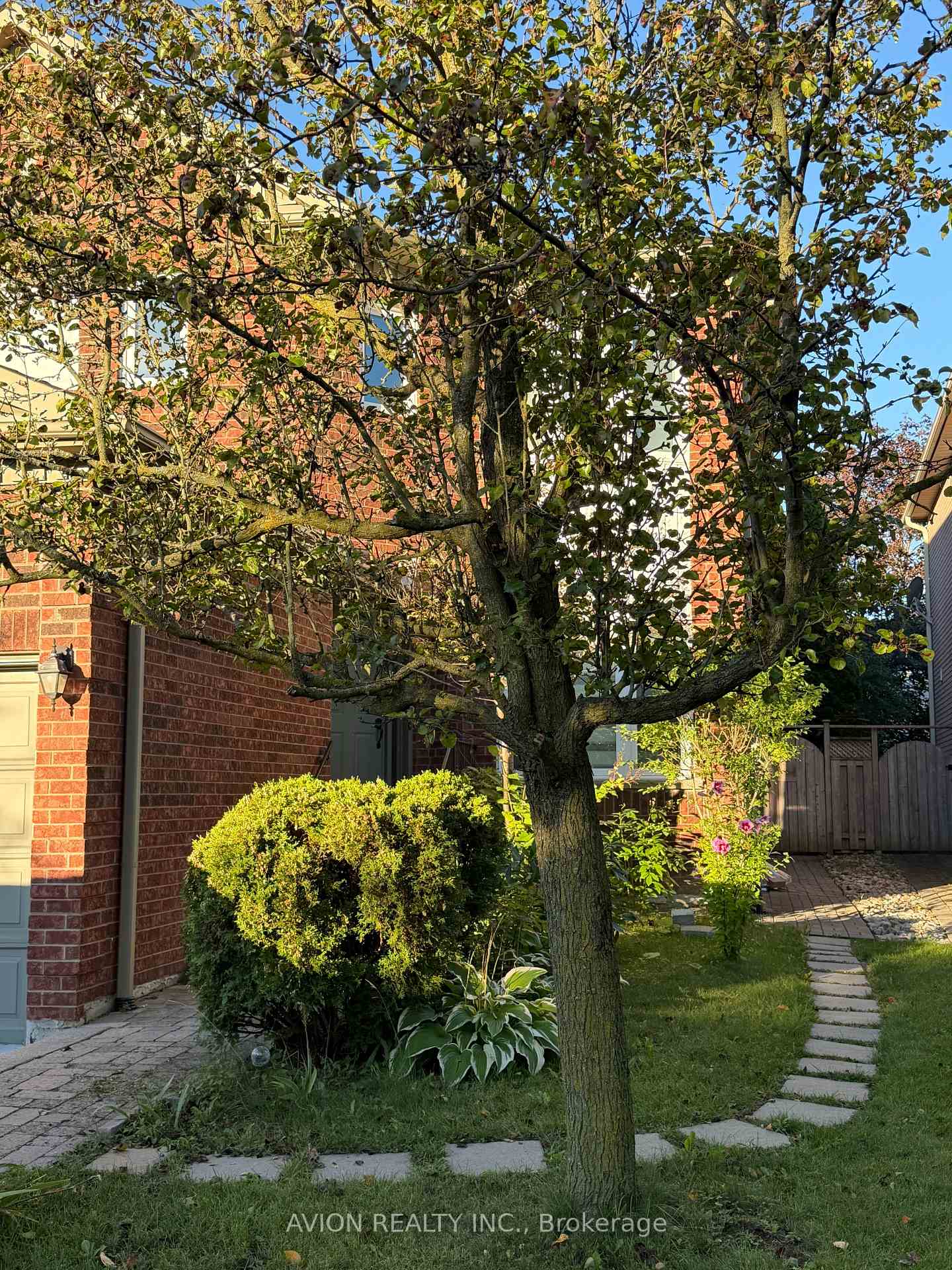 Photo 2 of Unit Basement, 79 Sweet Water Crescent, Richmond Hill, Westbrook — HOMEH