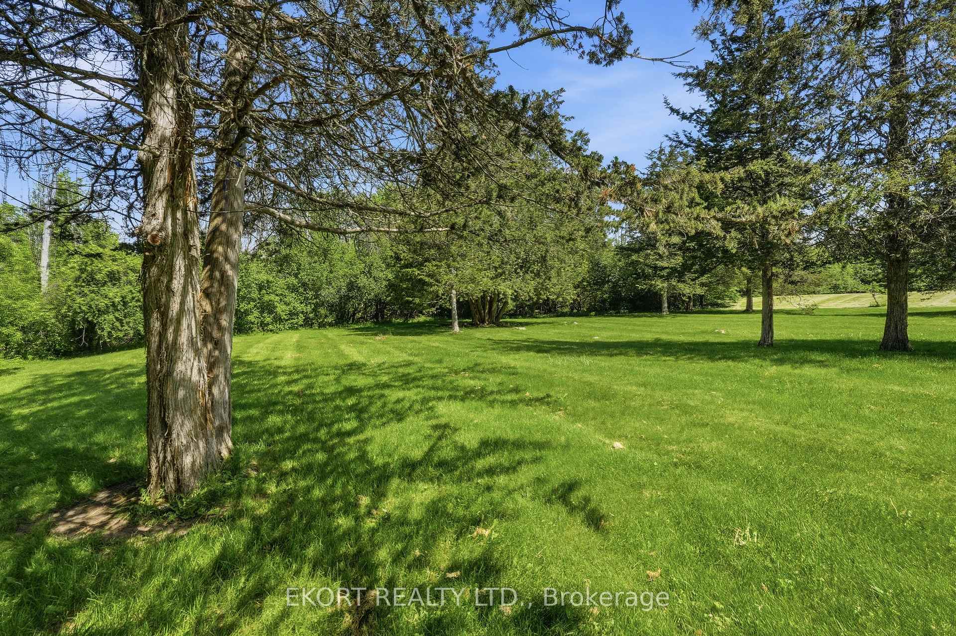 Photo 46 of 53 O'neill Drive, Belleville, Belleville Ward — HOMEH