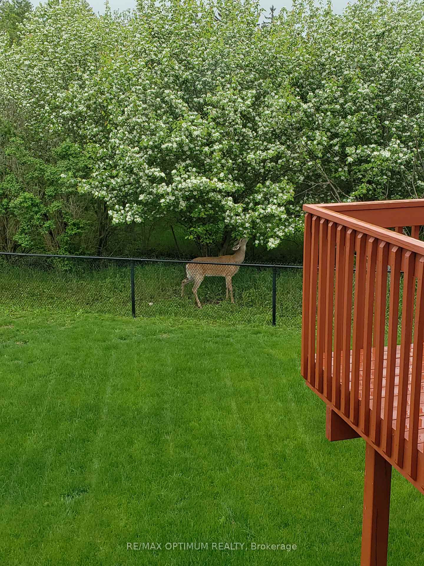 Photo 20 of 54 Midcrest Circle, Brampton, Credit Valley — HOMEH