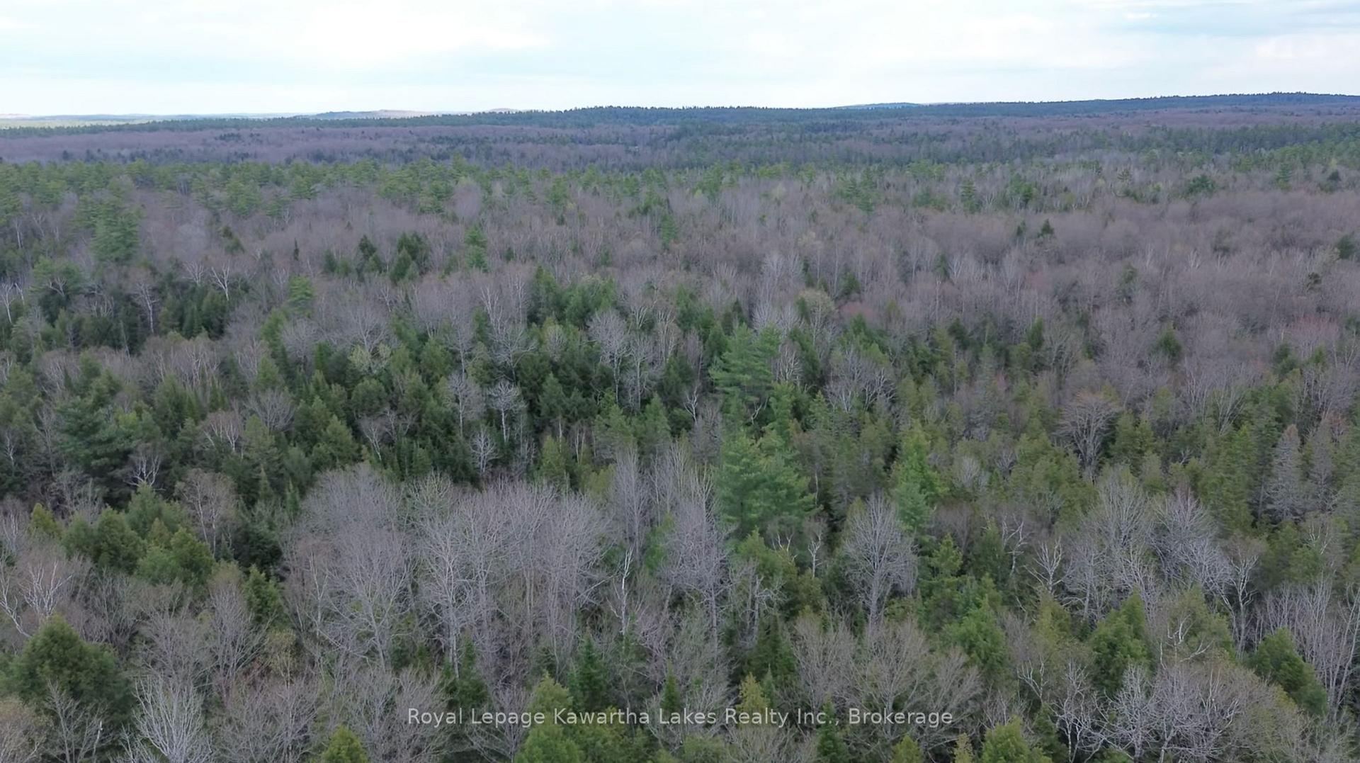 Photo 2 of Crystal Lake Road, Trent Lakes — HOMEH