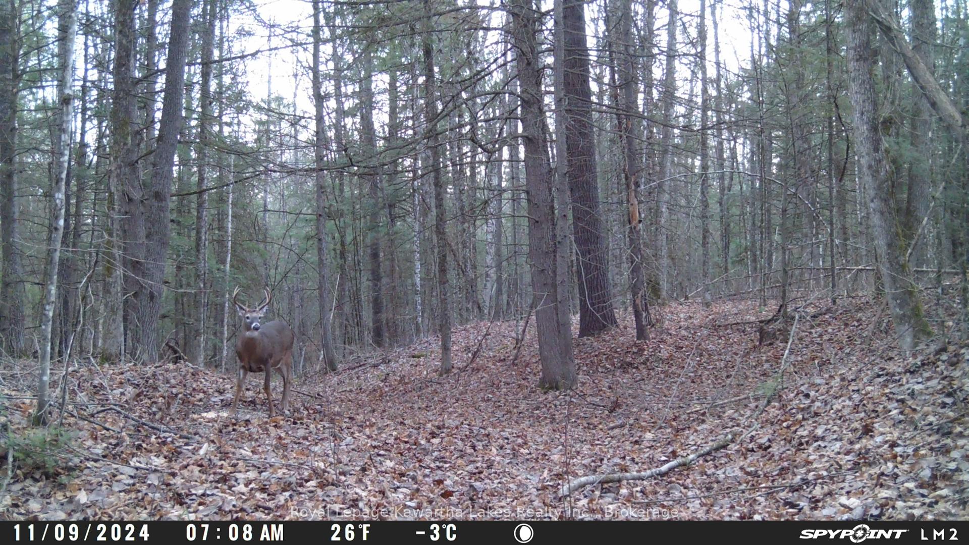 Photo 13 of Crystal Lake Road, Trent Lakes — HOMEH
