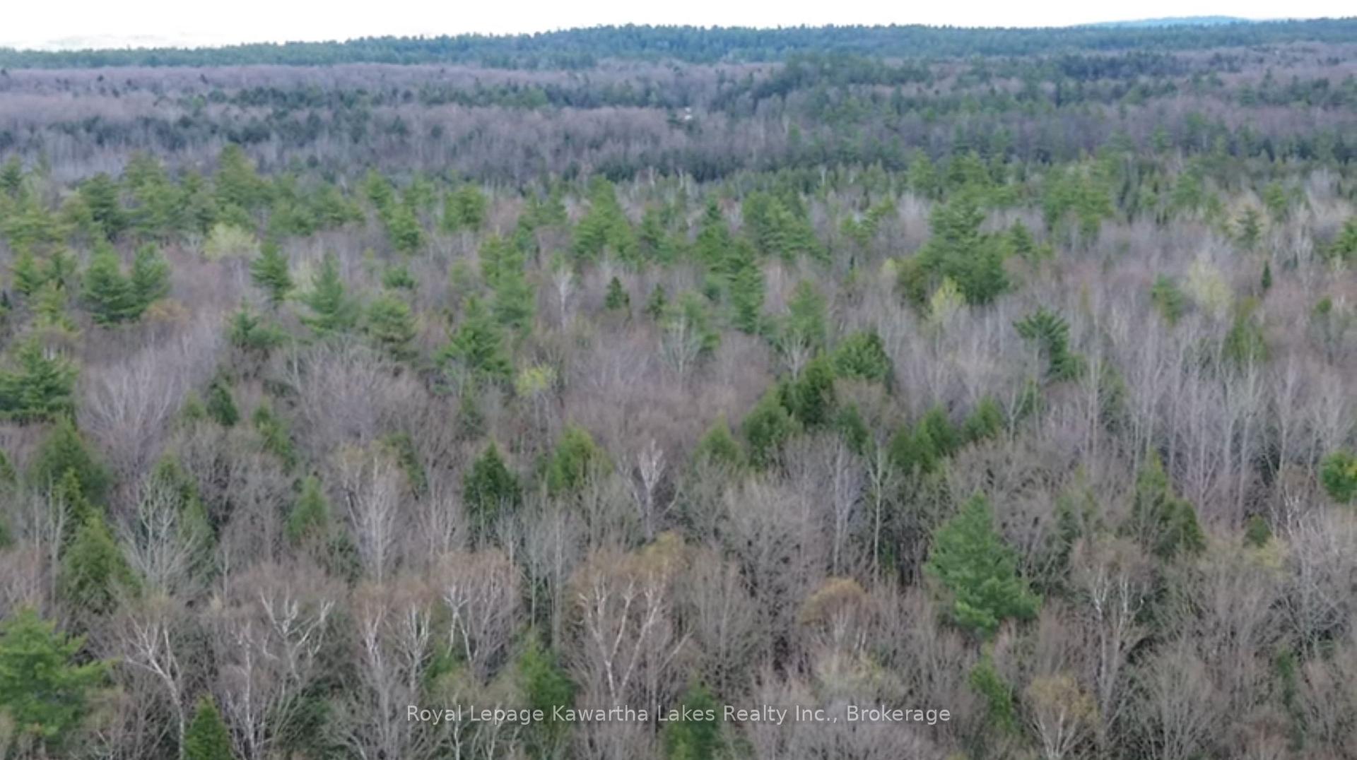 Photo 19 of Crystal Lake Road, Trent Lakes — HOMEH