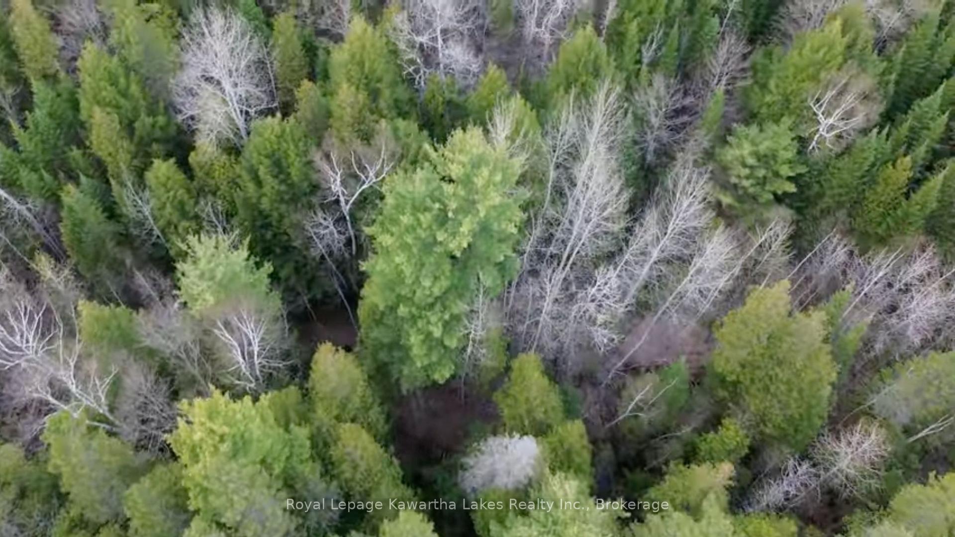 Photo 20 of Crystal Lake Road, Trent Lakes — HOMEH