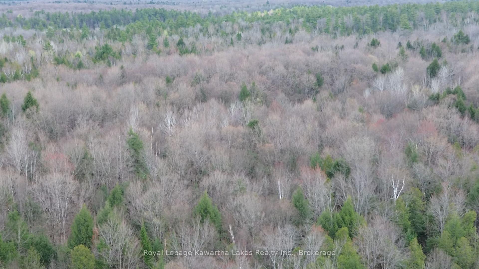 Photo 21 of Crystal Lake Road, Trent Lakes — HOMEH