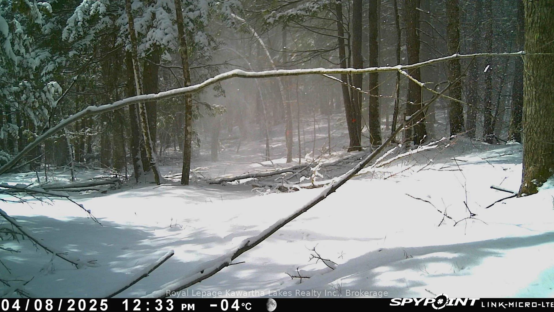 Photo 7 of Crystal Lake Road, Trent Lakes — HOMEH