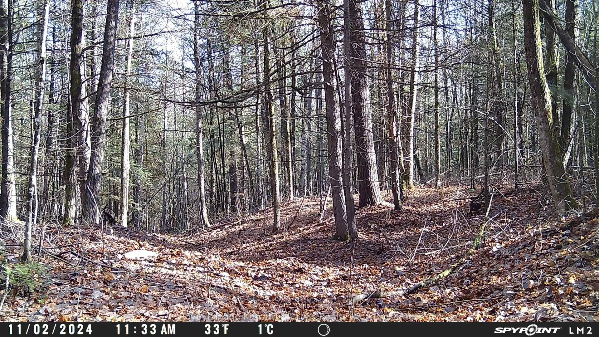 Photo 11 of Crystal Lake Road, Trent Lakes — HOMEH