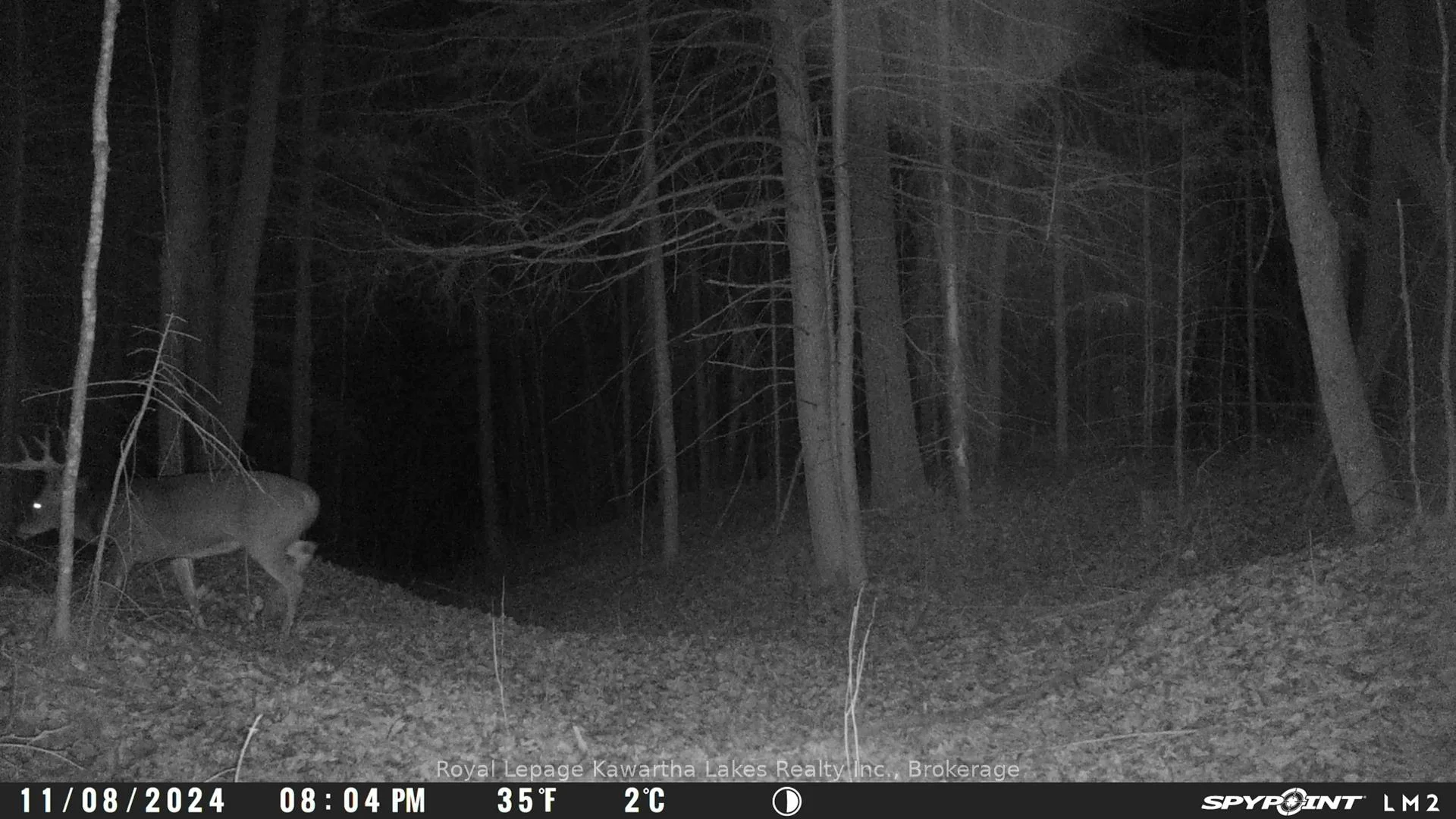 Photo 14 of Crystal Lake Road, Trent Lakes — HOMEH
