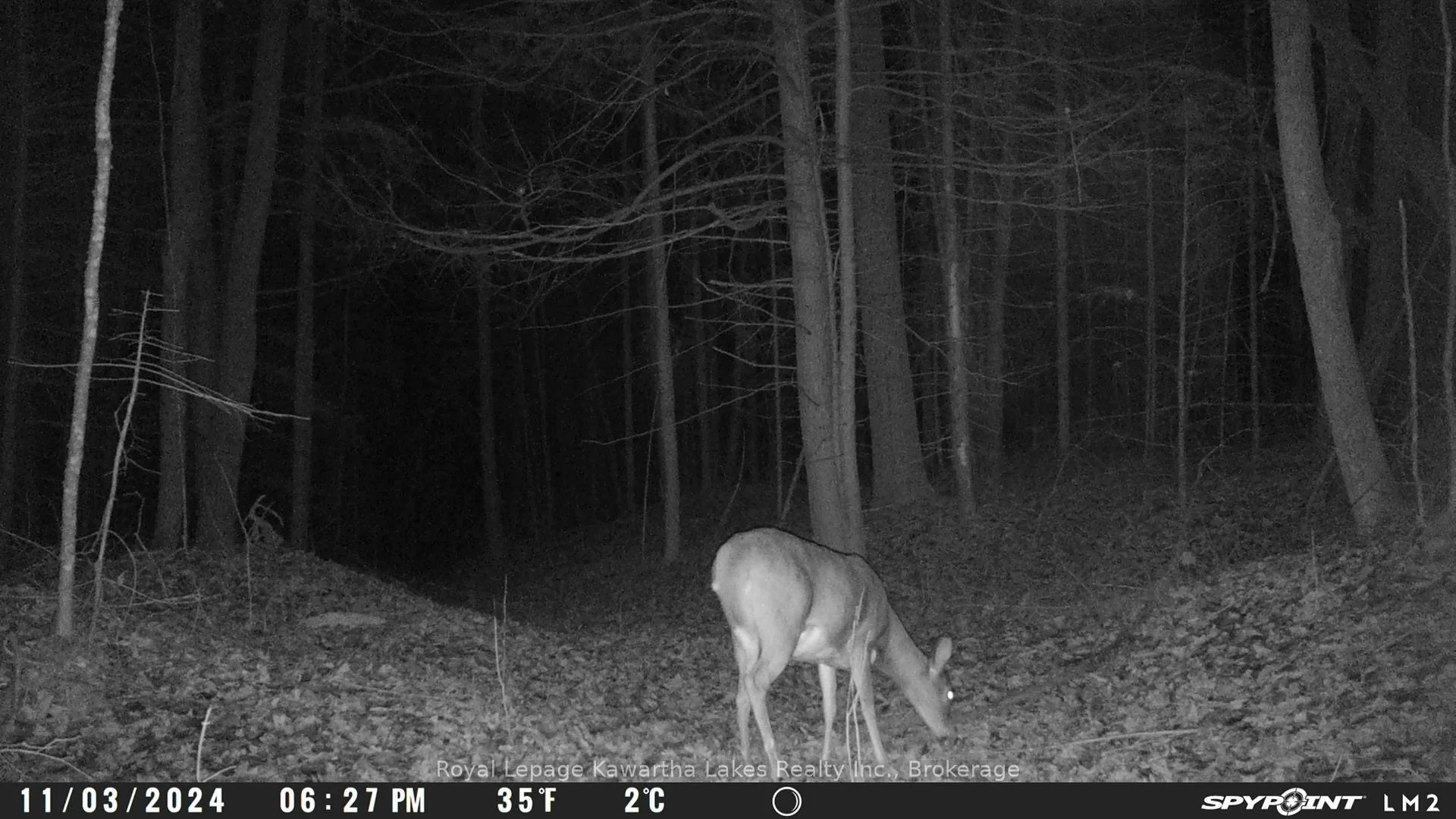 Photo 15 of Crystal Lake Road, Trent Lakes — HOMEH