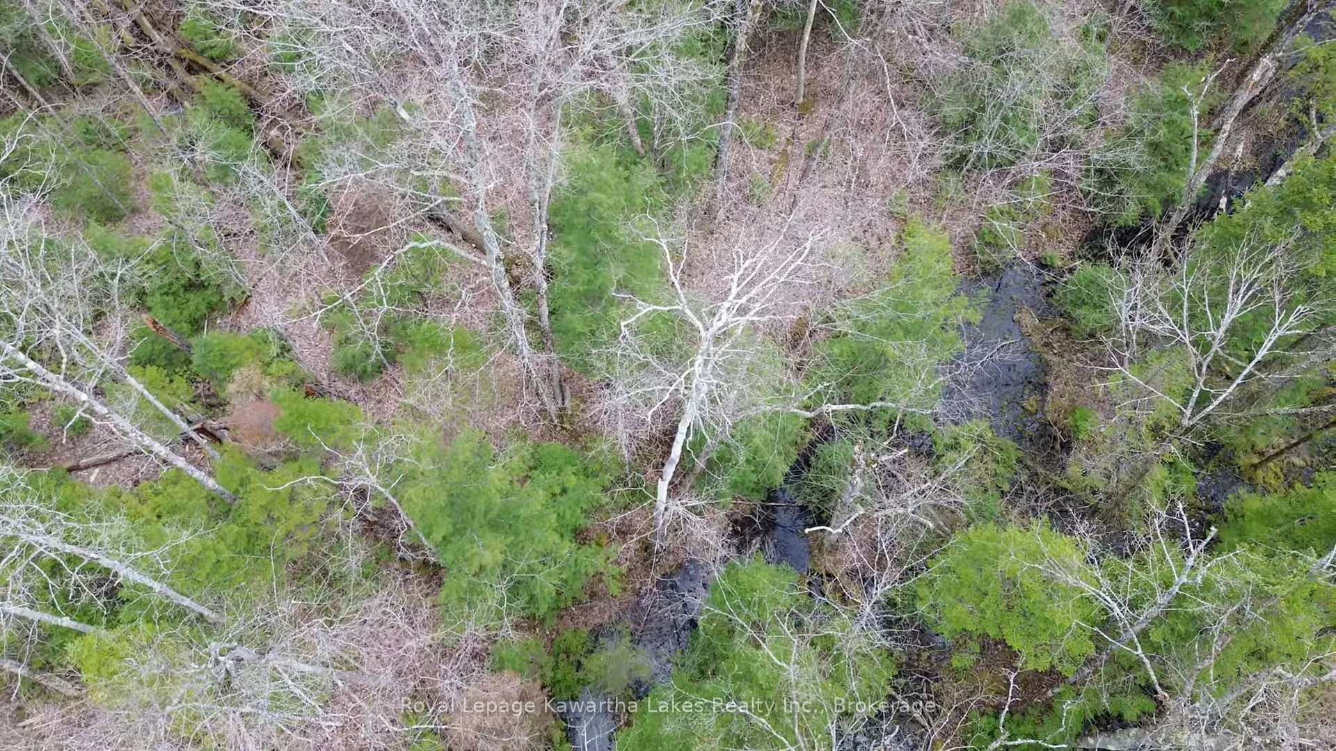 Photo 24 of Crystal Lake Road, Trent Lakes — HOMEH