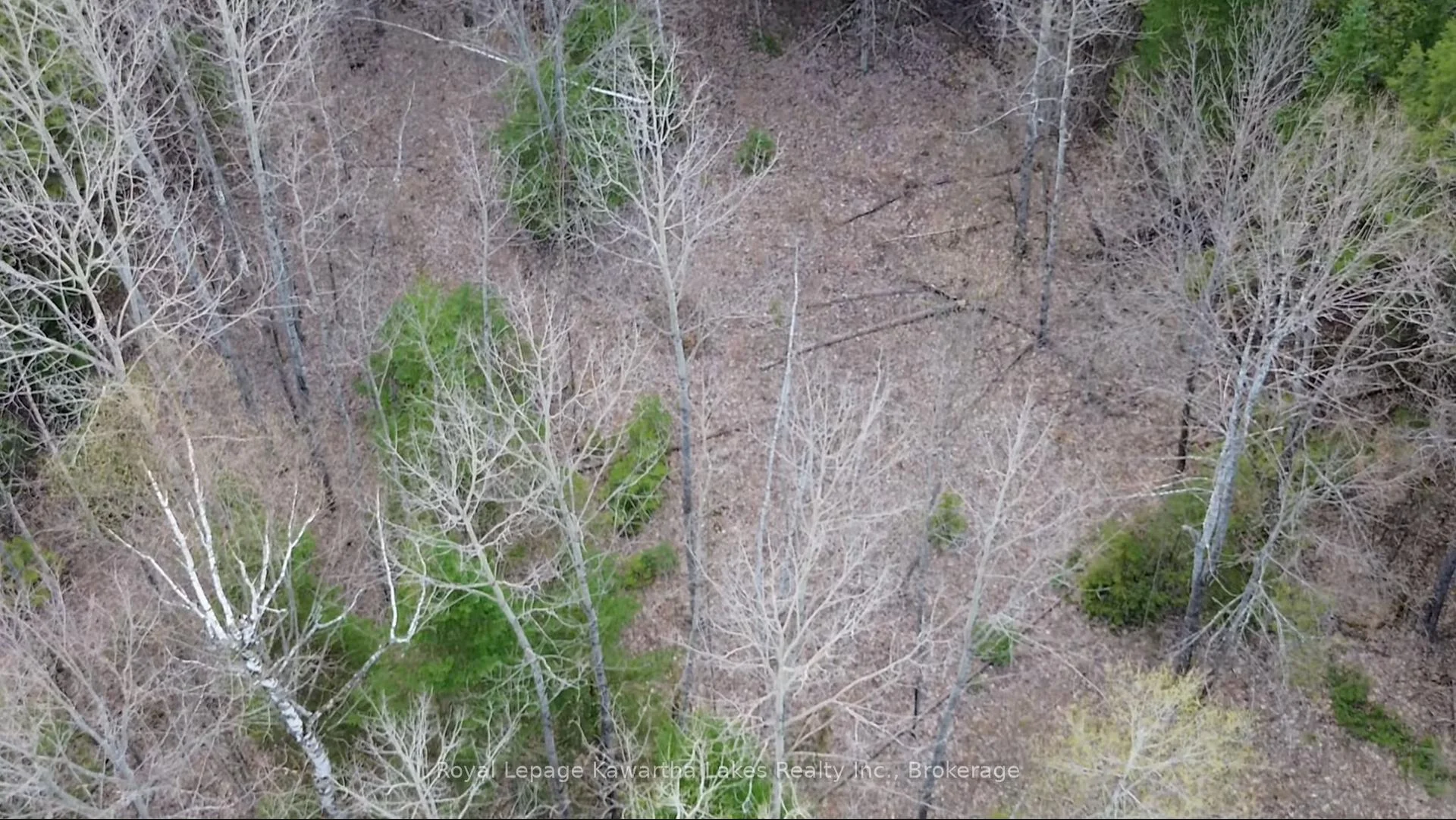 Photo 26 of Crystal Lake Road, Trent Lakes — HOMEH