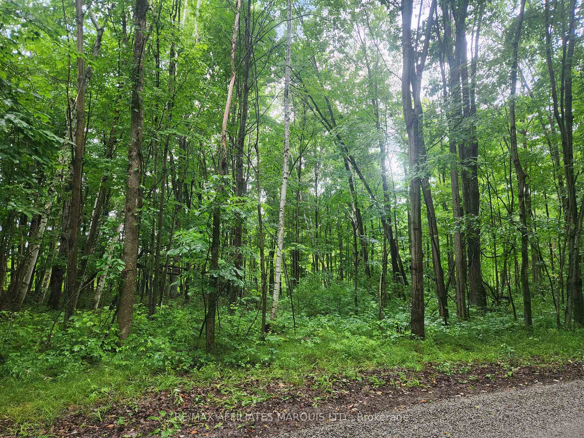 Photo of 000 Cedar Sands Road Way