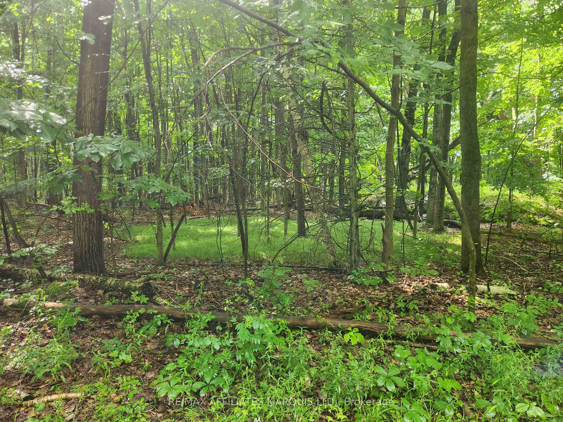 Photo 3 of 000 Cedar Sands Road Way, Rideau Lakes, Rideau Lakes (South Crosby) Twp — HOMEH