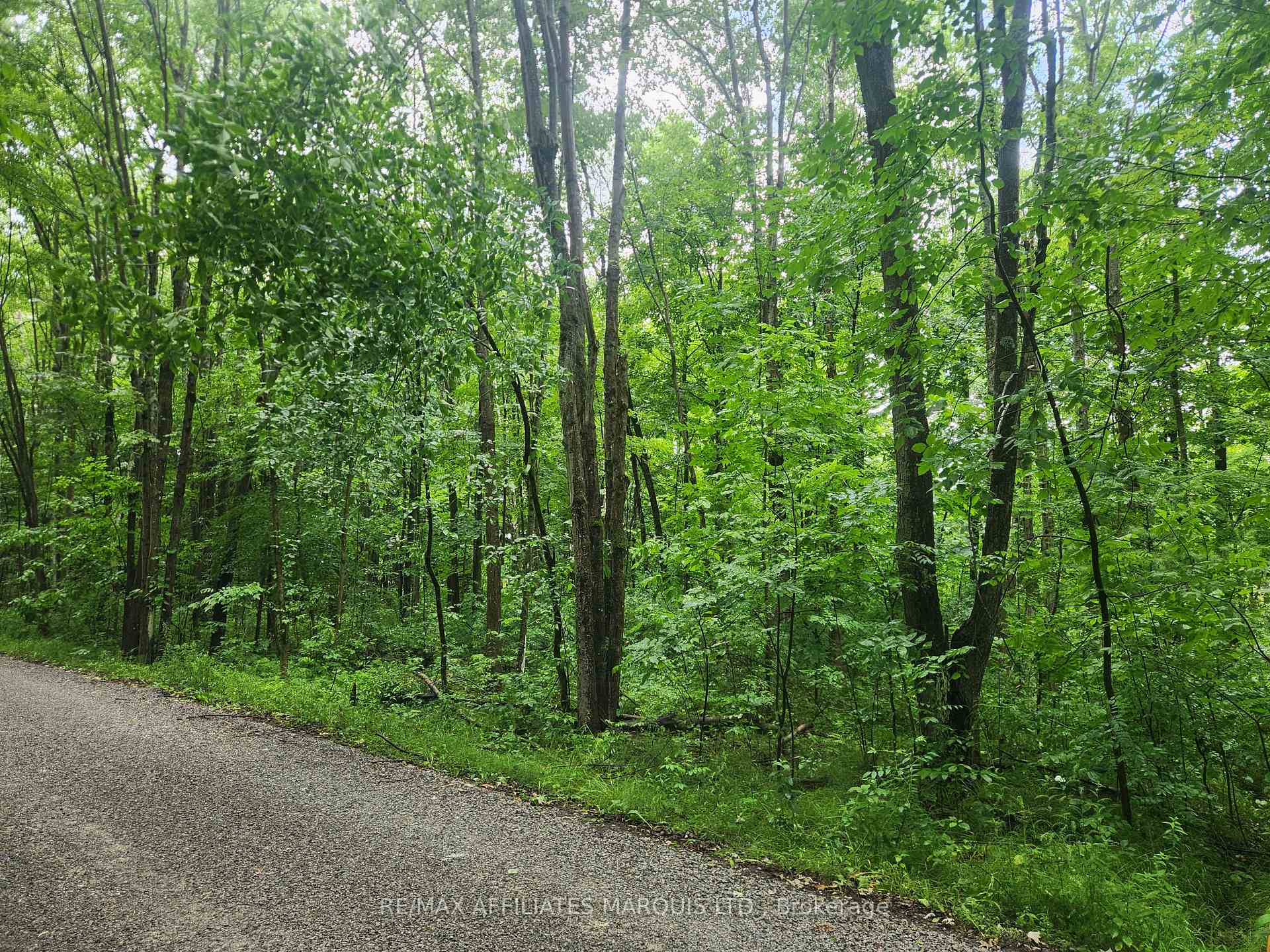 Photo 2 of 000 Cedar Sands Road Way, Rideau Lakes, Rideau Lakes (South Crosby) Twp — HOMEH