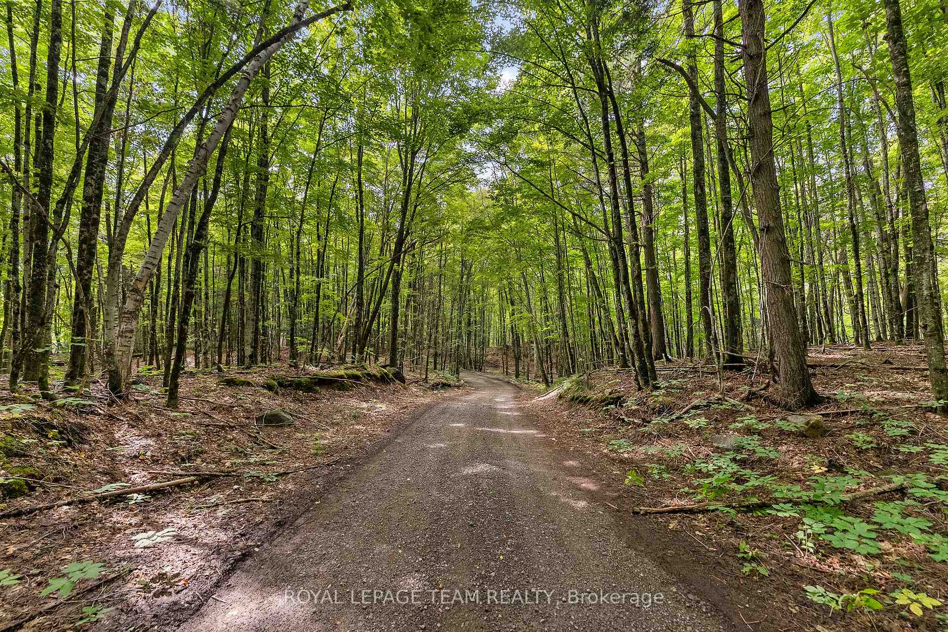 Photo 8 of 000 Windy Point Side Road, Lanark Highlands, Lanark Highlands (Darling) Twp — HOMEH