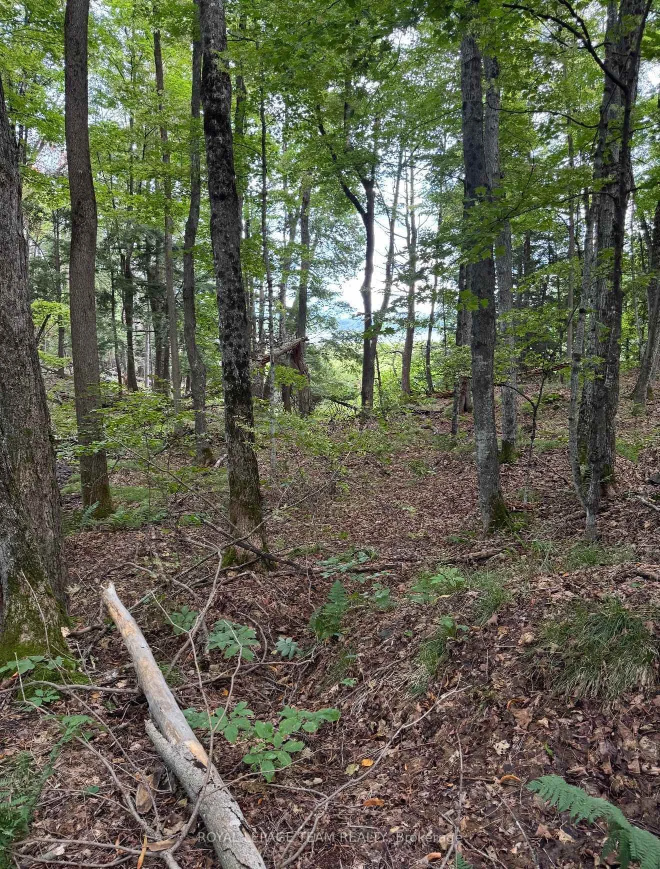 Photo 39 of 000 Windy Point Side Road, Lanark Highlands, Lanark Highlands (Darling) Twp — HOMEH