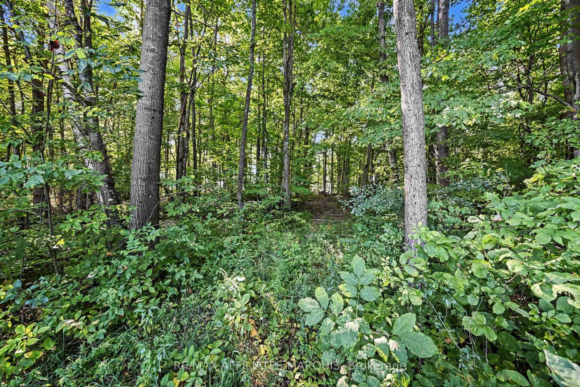 Photo 7 of 00 Station Road, Rideau Lakes, Rideau Lakes (Bastard) Twp — HOMEH