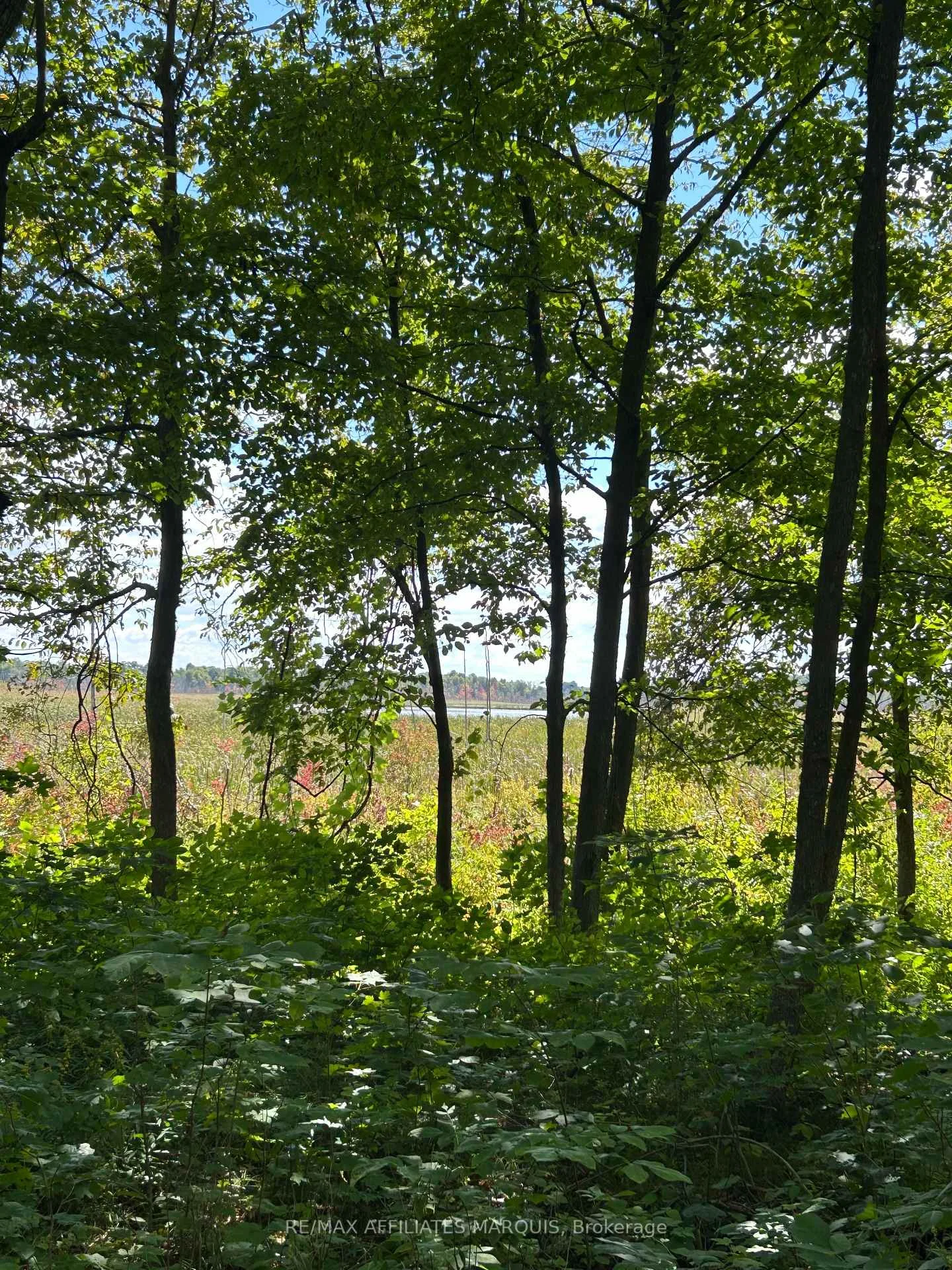 Photo 9 of 00 Station Road, Rideau Lakes, Rideau Lakes (Bastard) Twp — HOMEH