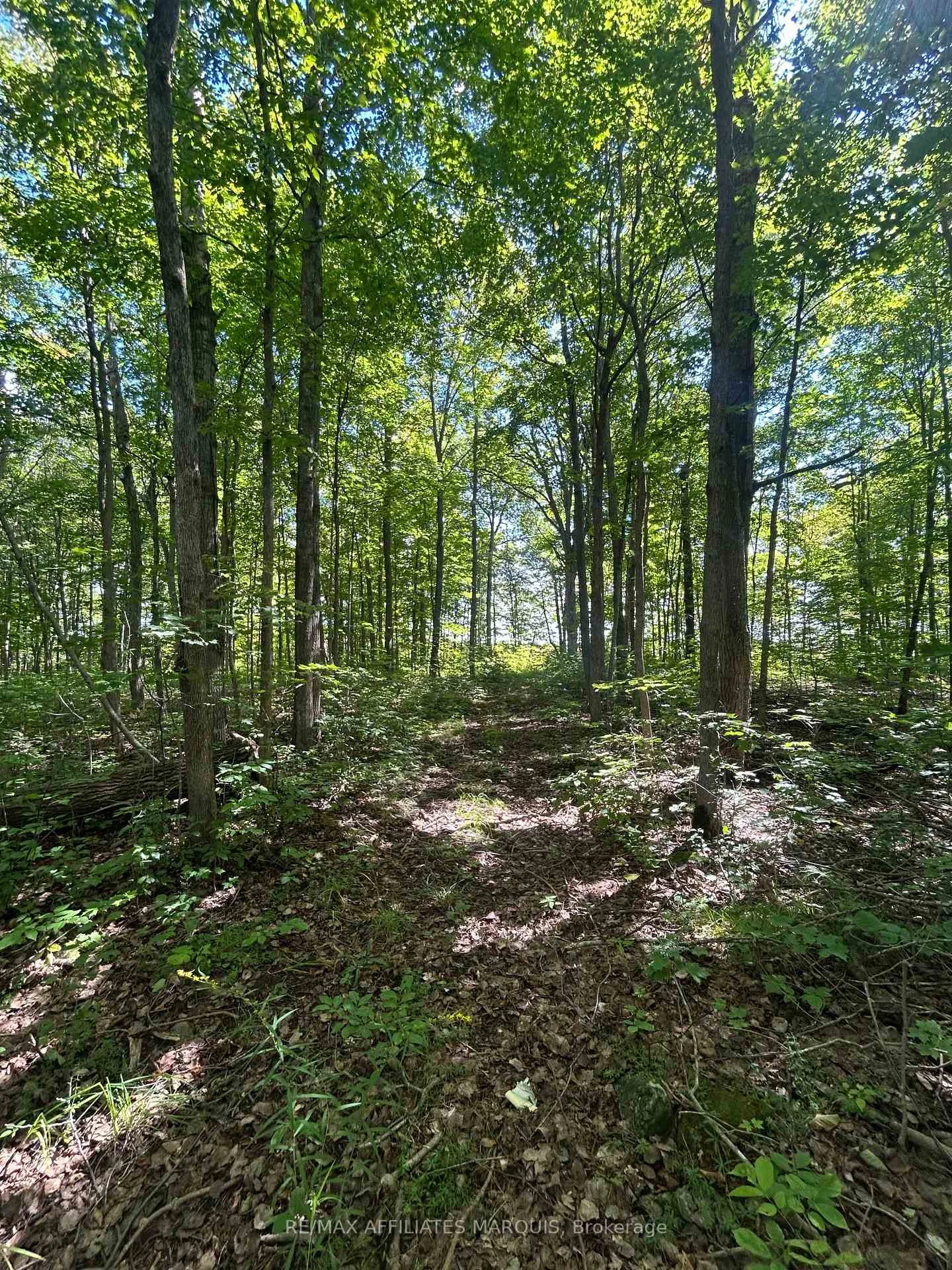 Photo 10 of 00 Station Road, Rideau Lakes, Rideau Lakes (Bastard) Twp — HOMEH