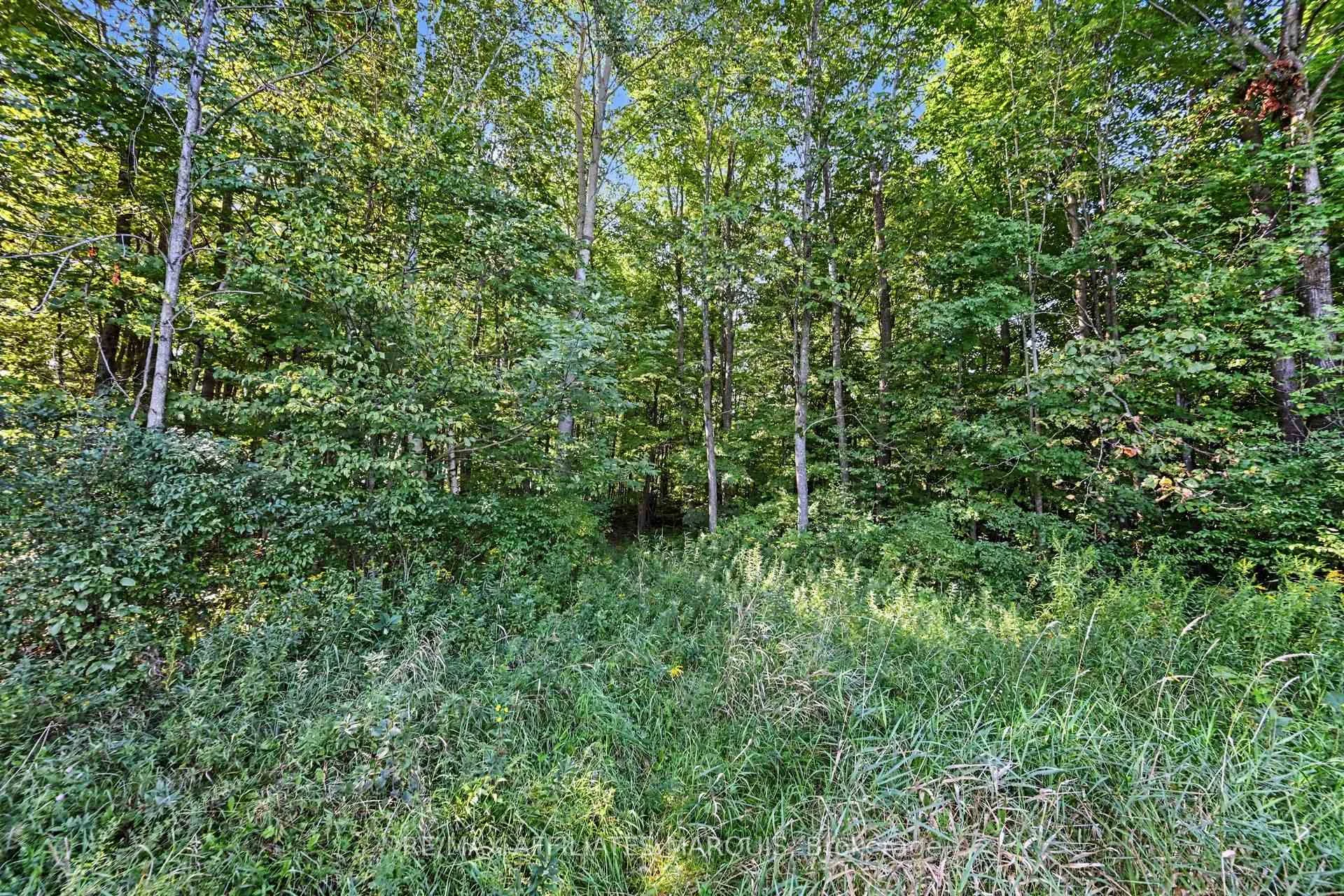 Photo 24 of 00 Station Road, Rideau Lakes, Rideau Lakes (Bastard) Twp — HOMEH