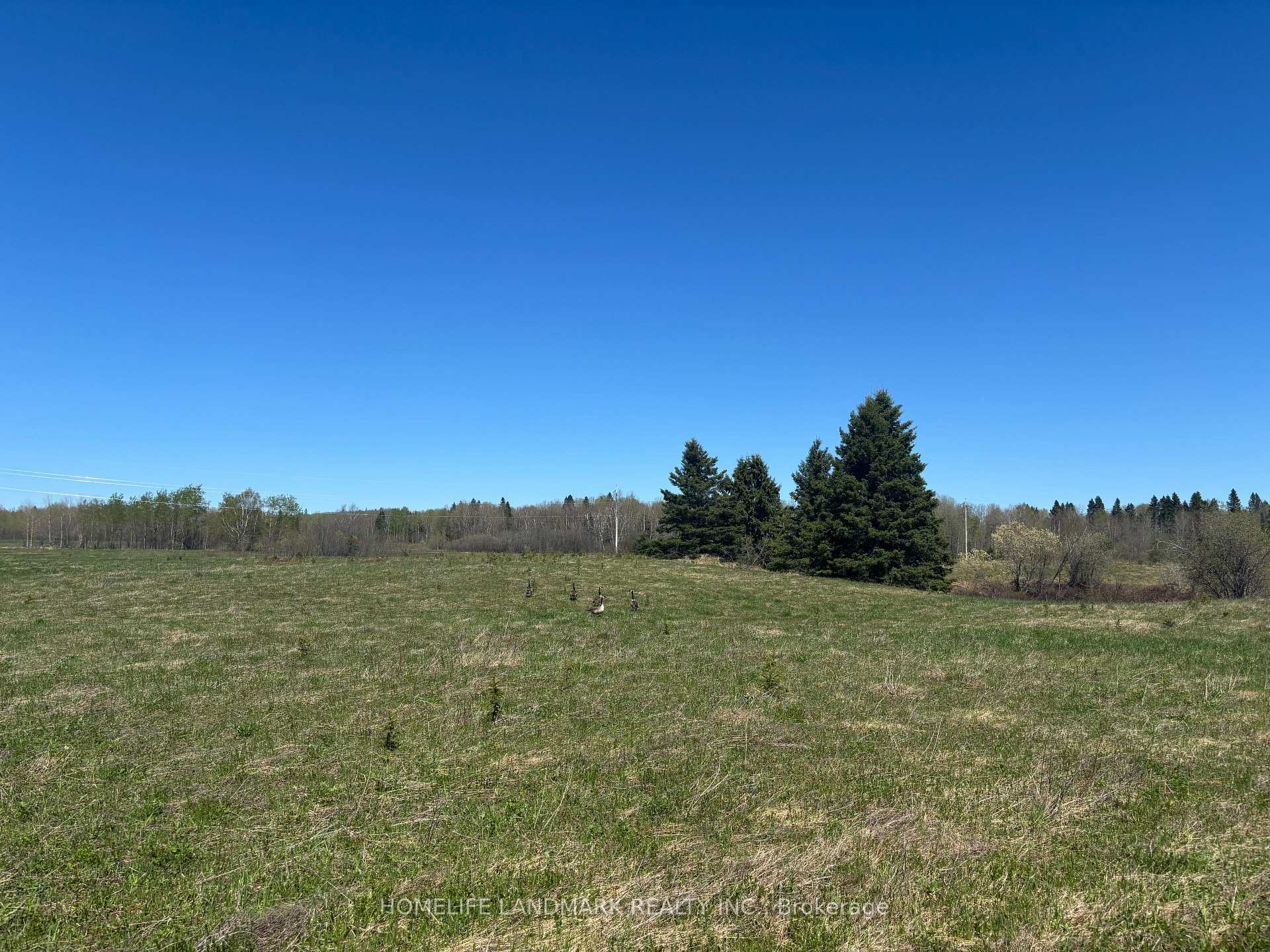 Photo 7 of 9 Ski Hill Road, Kapuskasing — HOMEH
