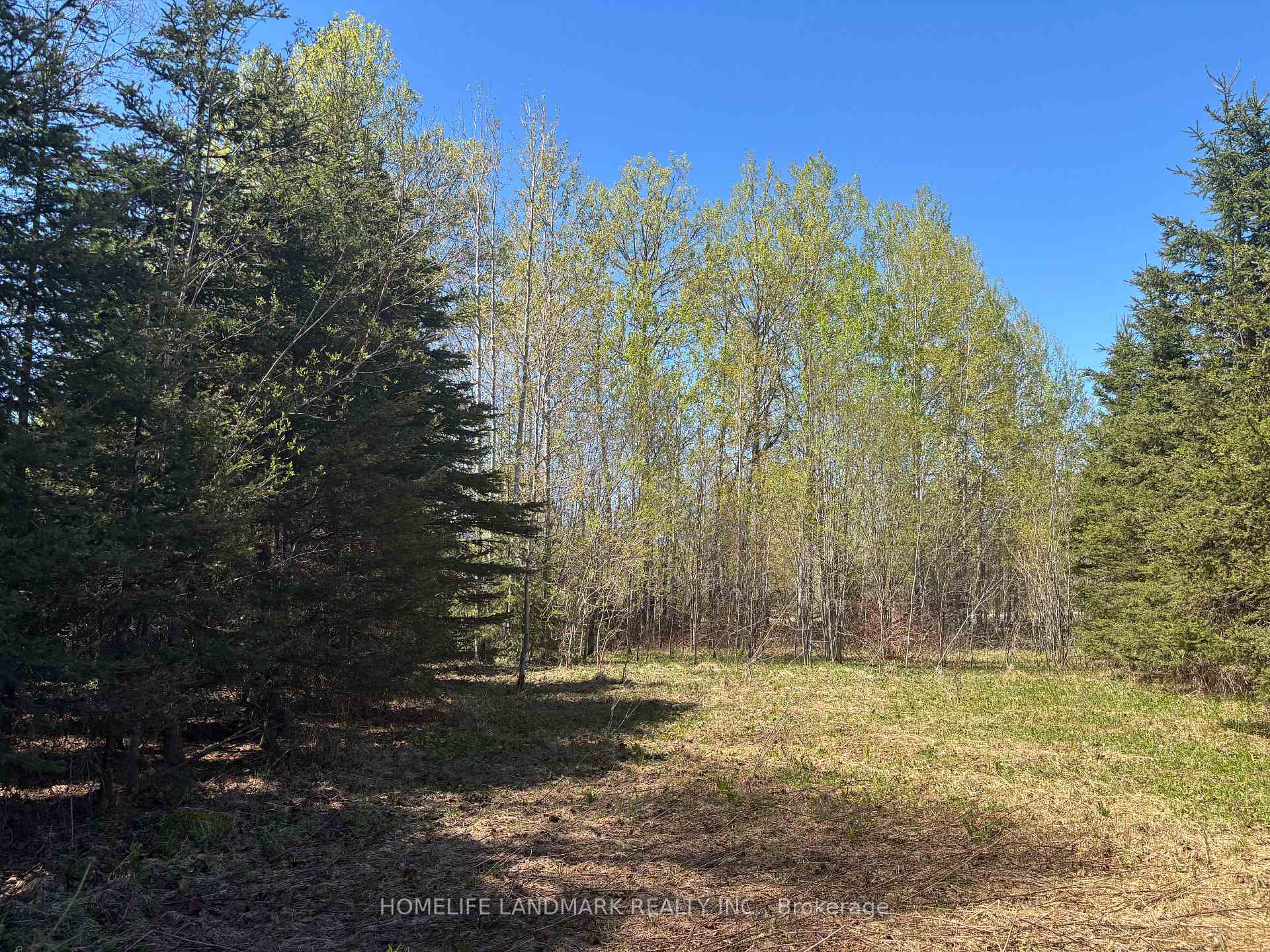 Photo 15 of 9 Ski Hill Road, Kapuskasing — HOMEH