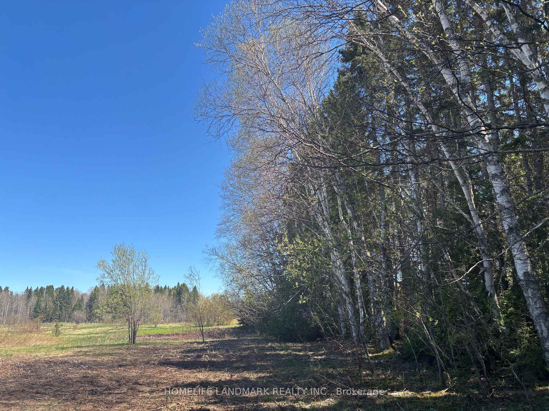 Photo 16 of 9 Ski Hill Road, Kapuskasing — HOMEH