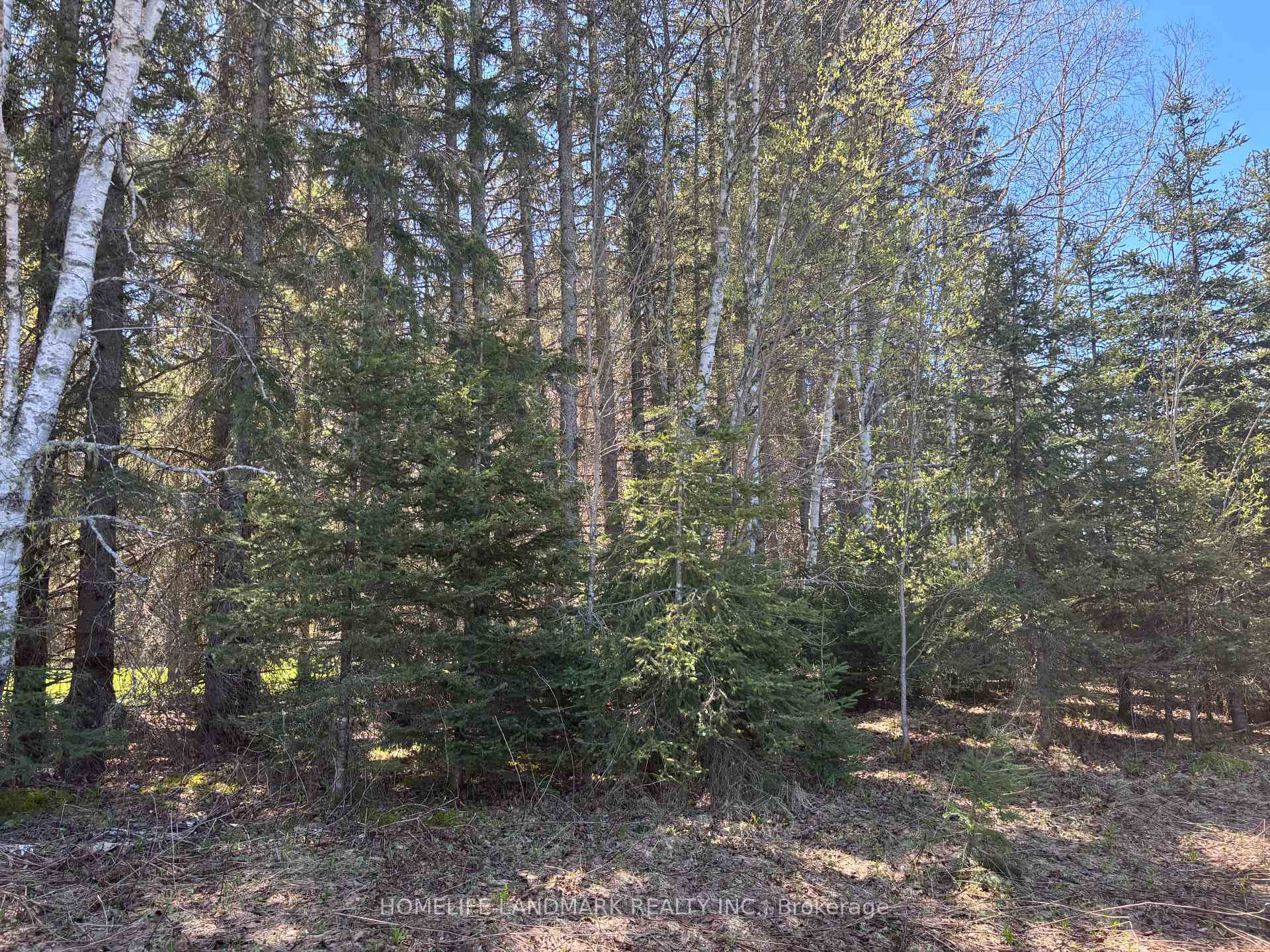 Photo 17 of 9 Ski Hill Road, Kapuskasing — HOMEH