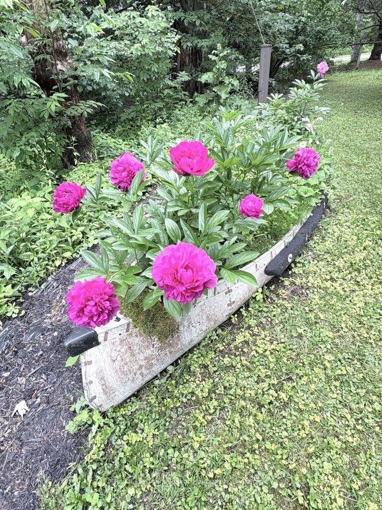 Photo 11 of 10 Nevison Drive, Kawartha Lakes, Somerville — HOMEH
