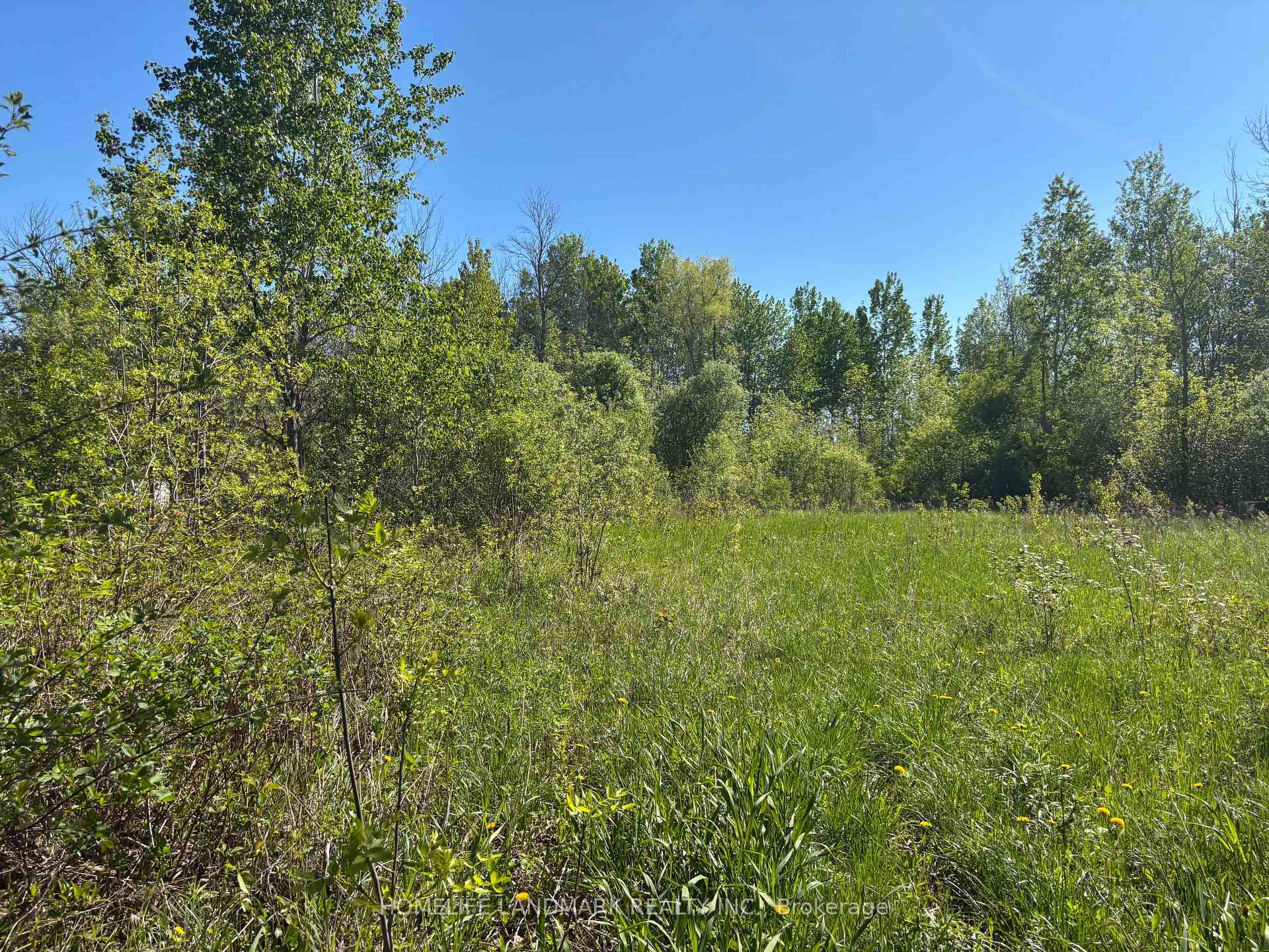 Photo 4 of 3485 Smith Road, South Stormont, South Stormont (Osnabruck) Twp — HOMEH